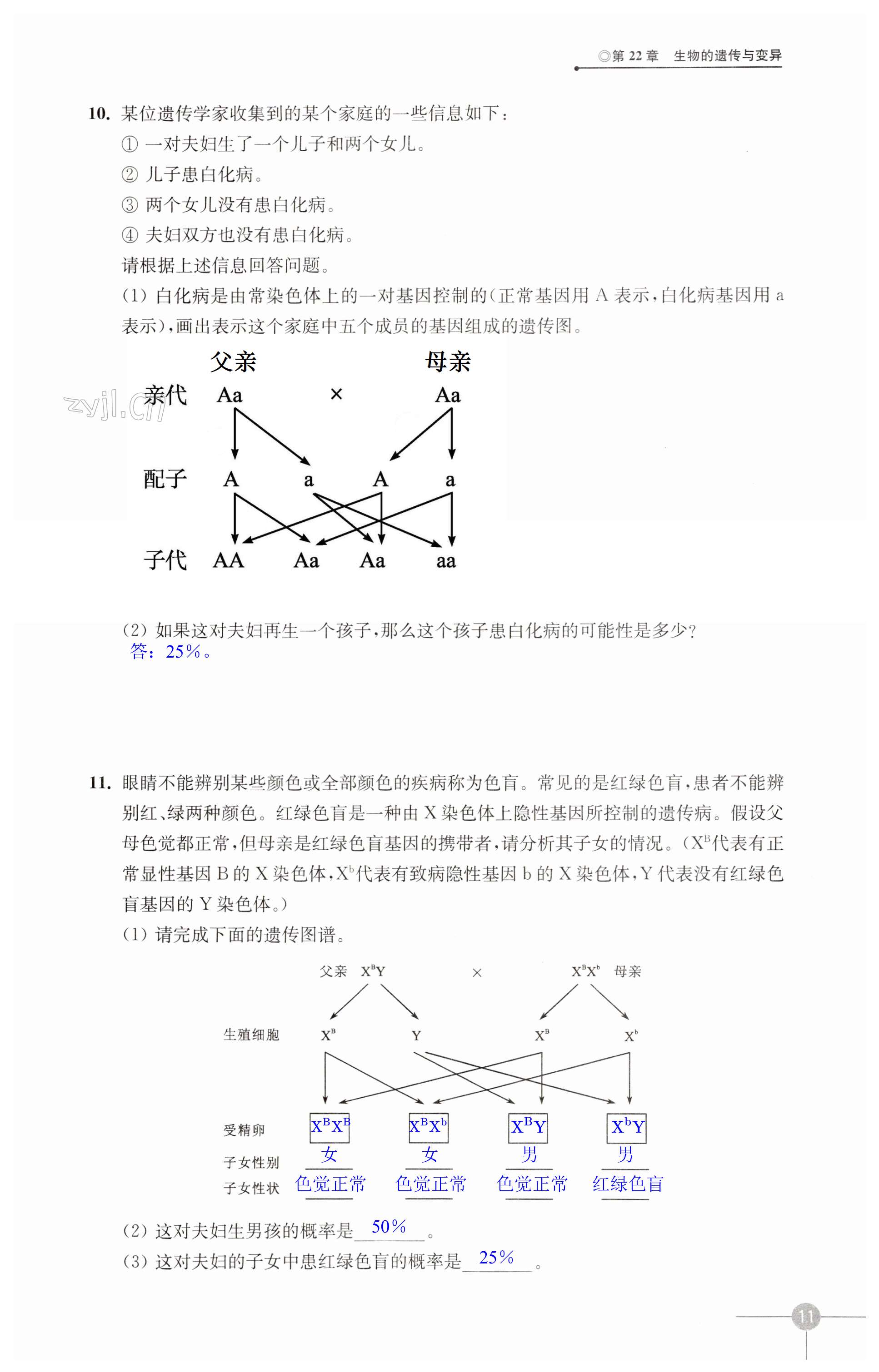 第11頁