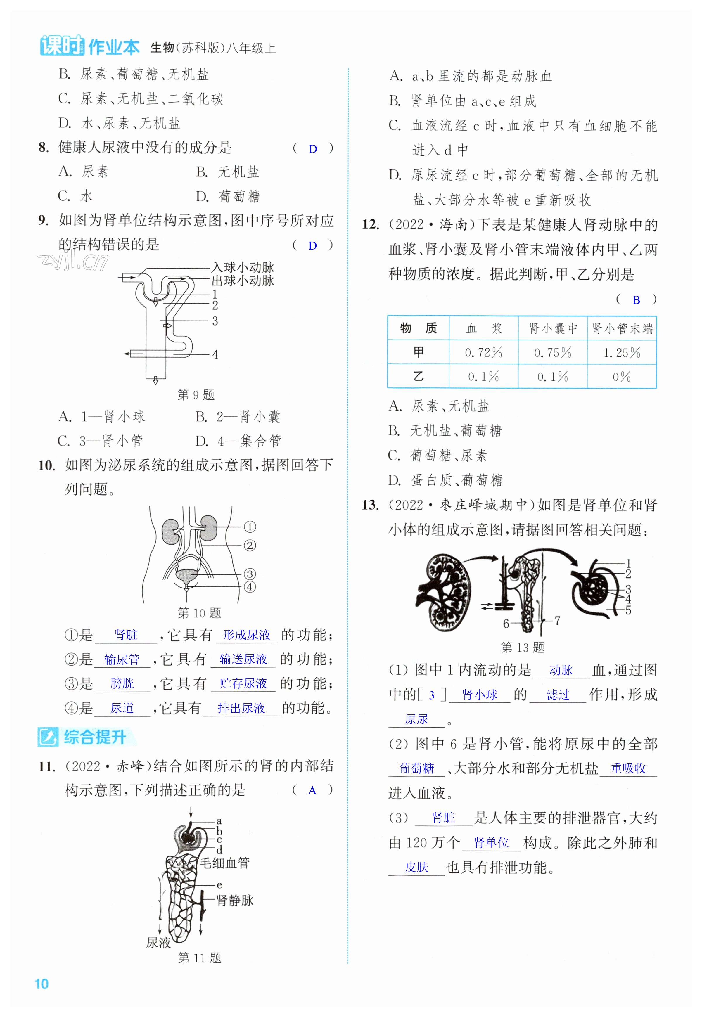 第10頁(yè)