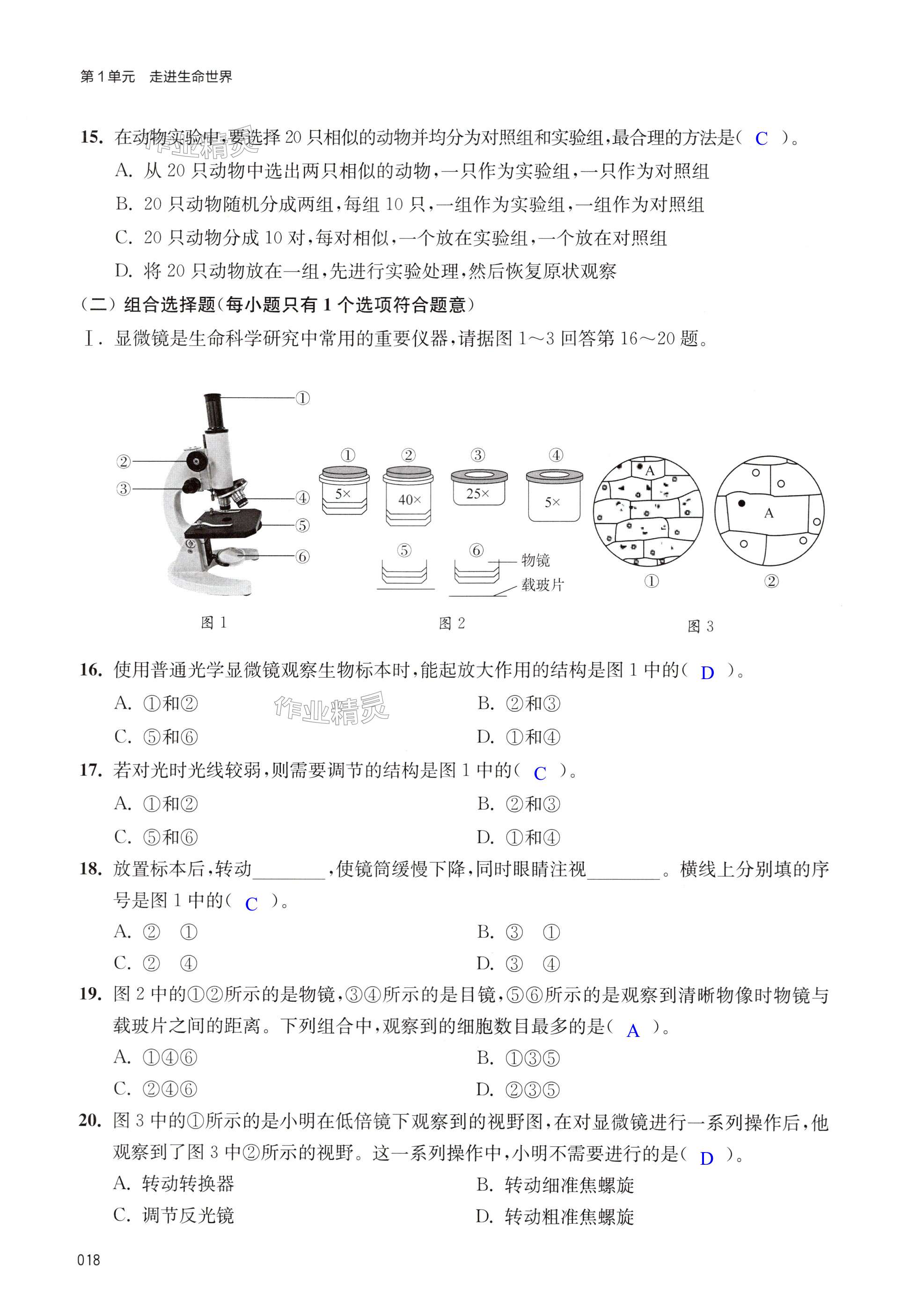 第18頁