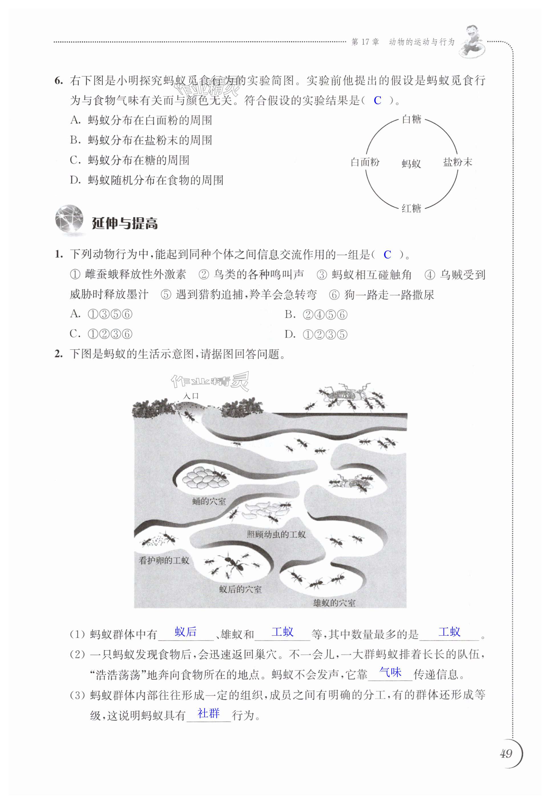 第49頁