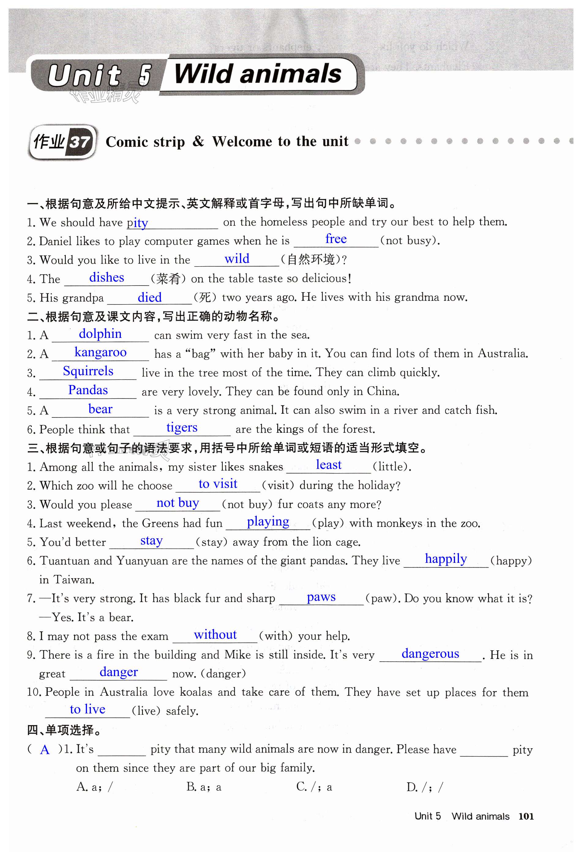 第101页