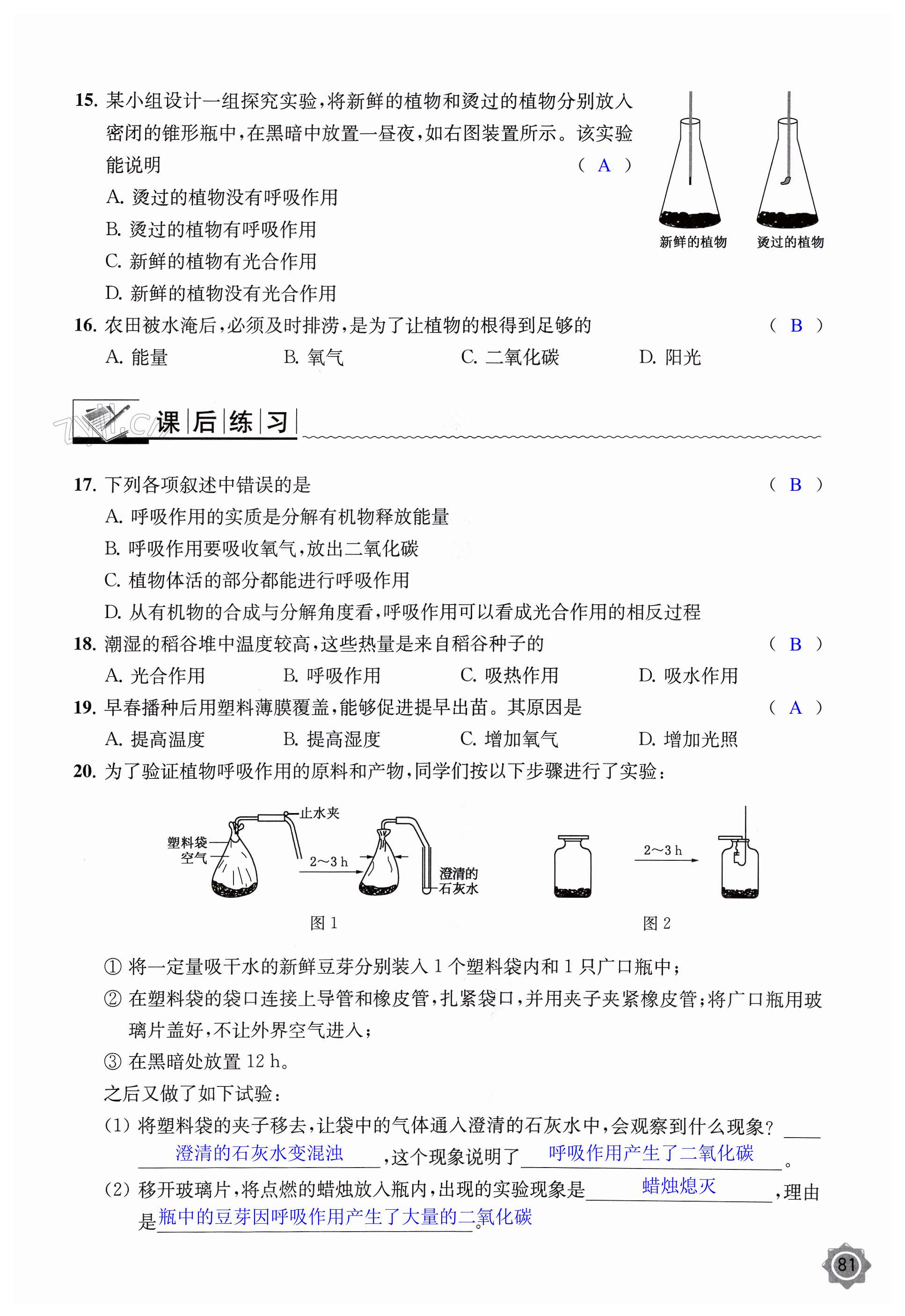 第81頁