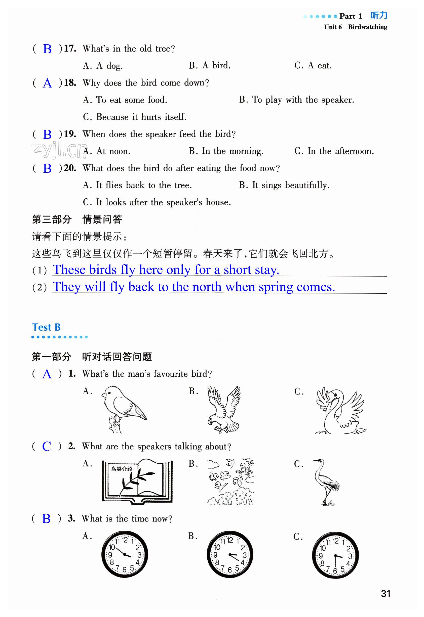 第31頁(yè)