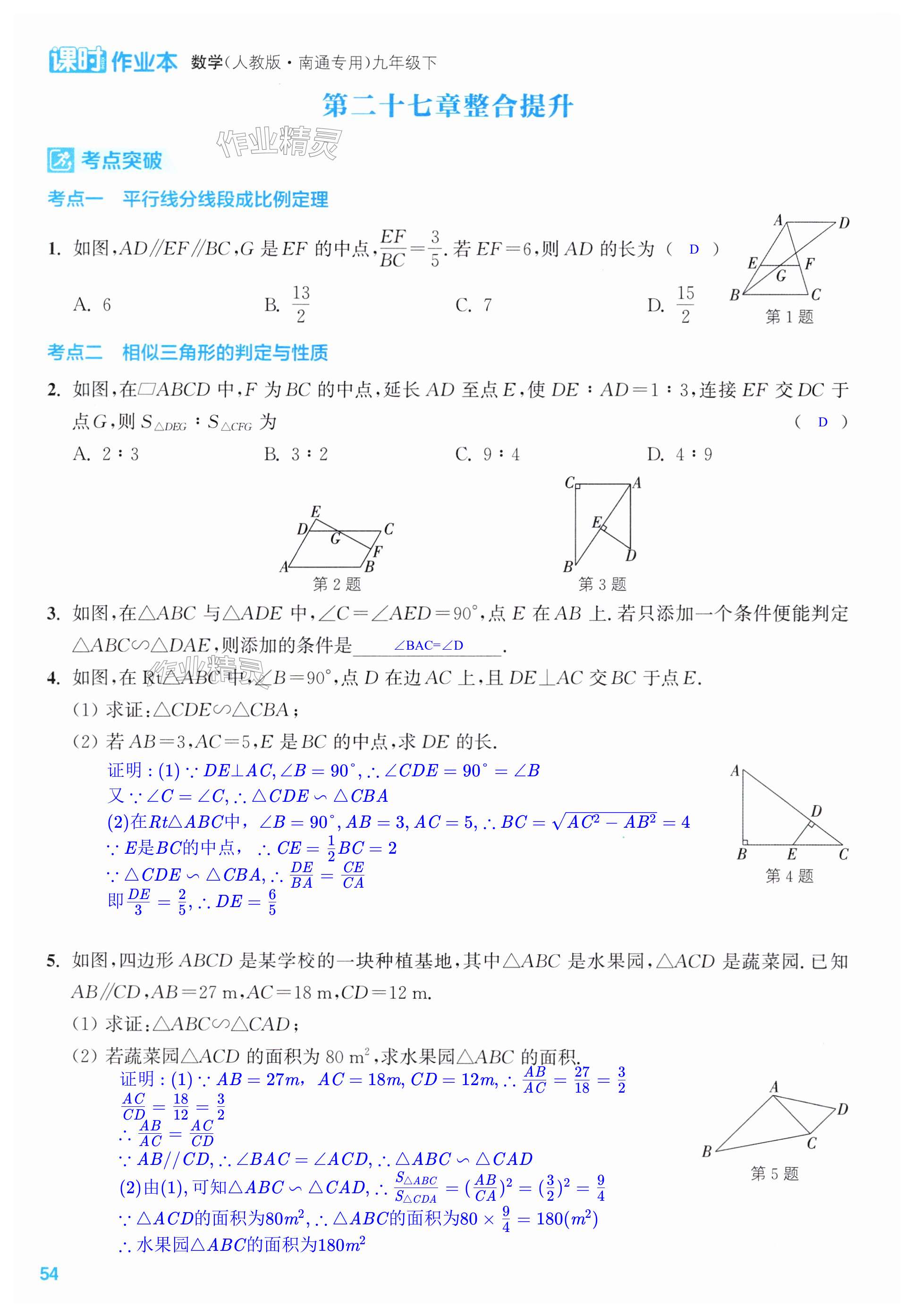 第54页