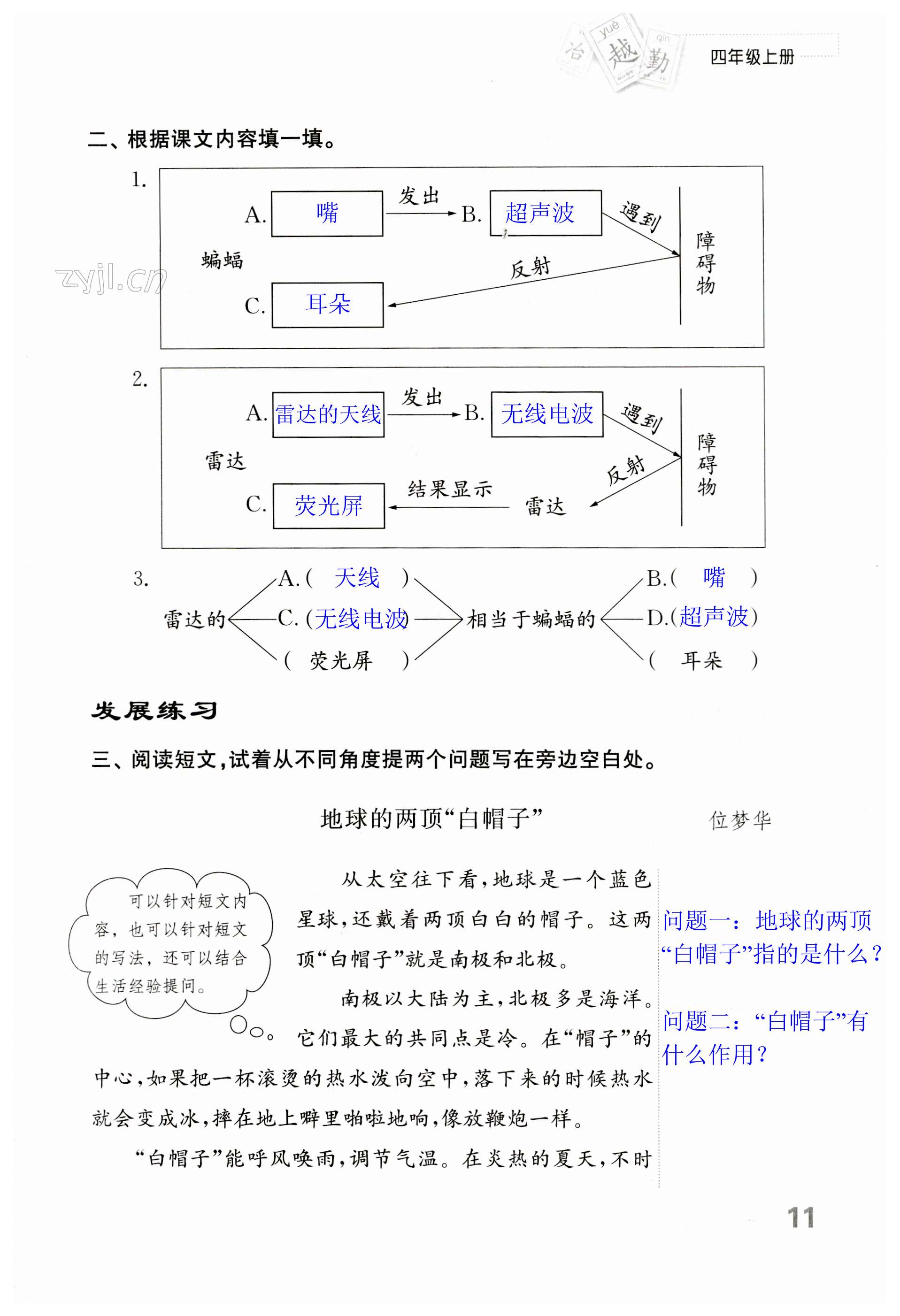 第11頁