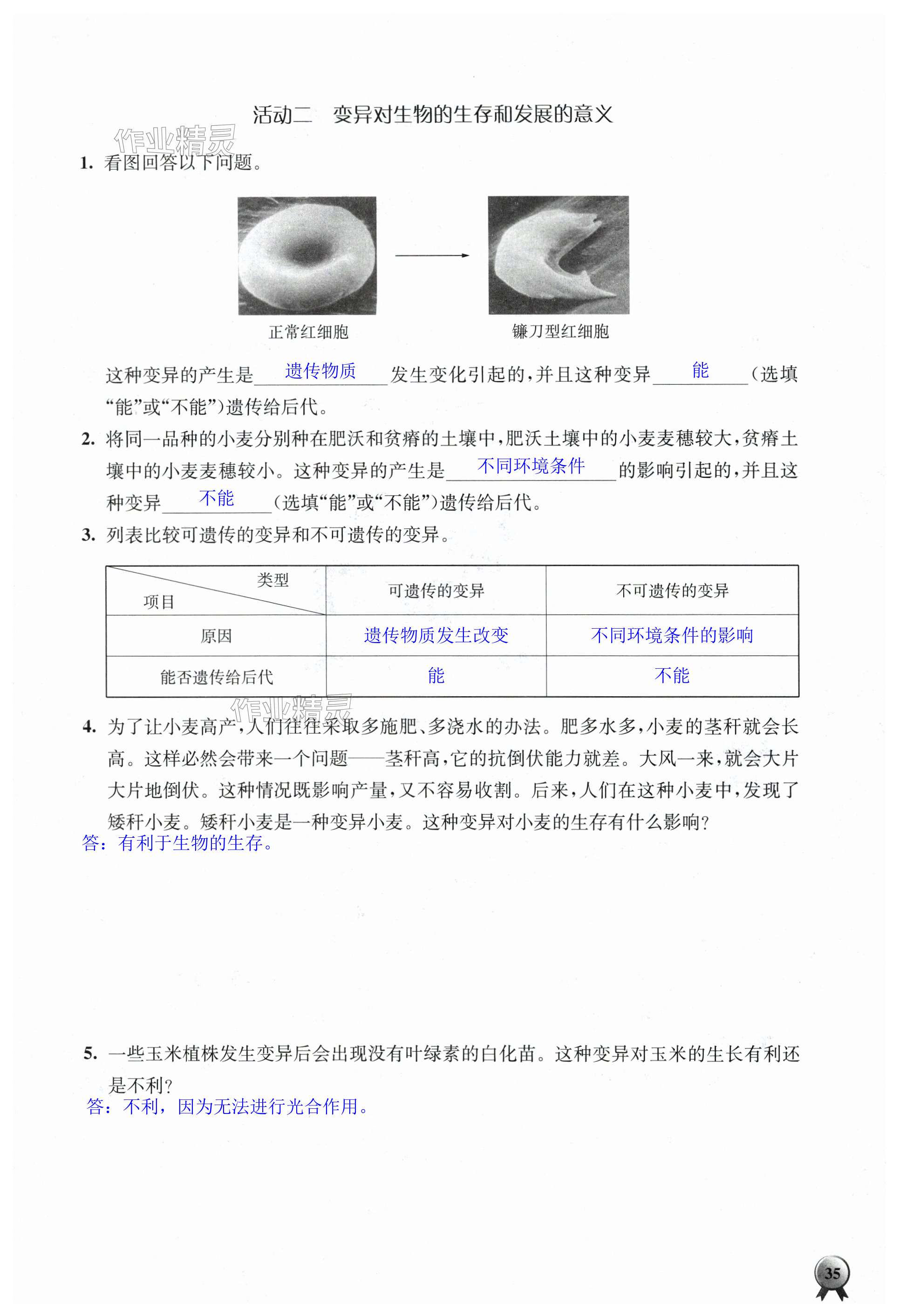 第35頁(yè)