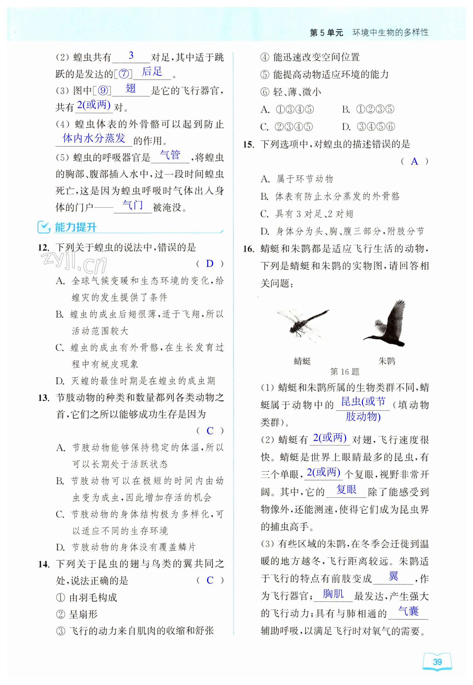 第39页