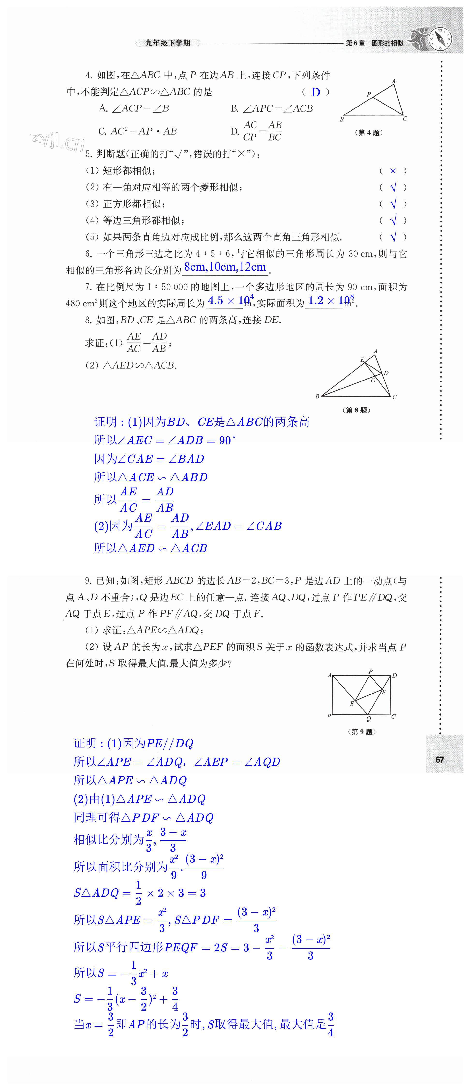 第67頁(yè)