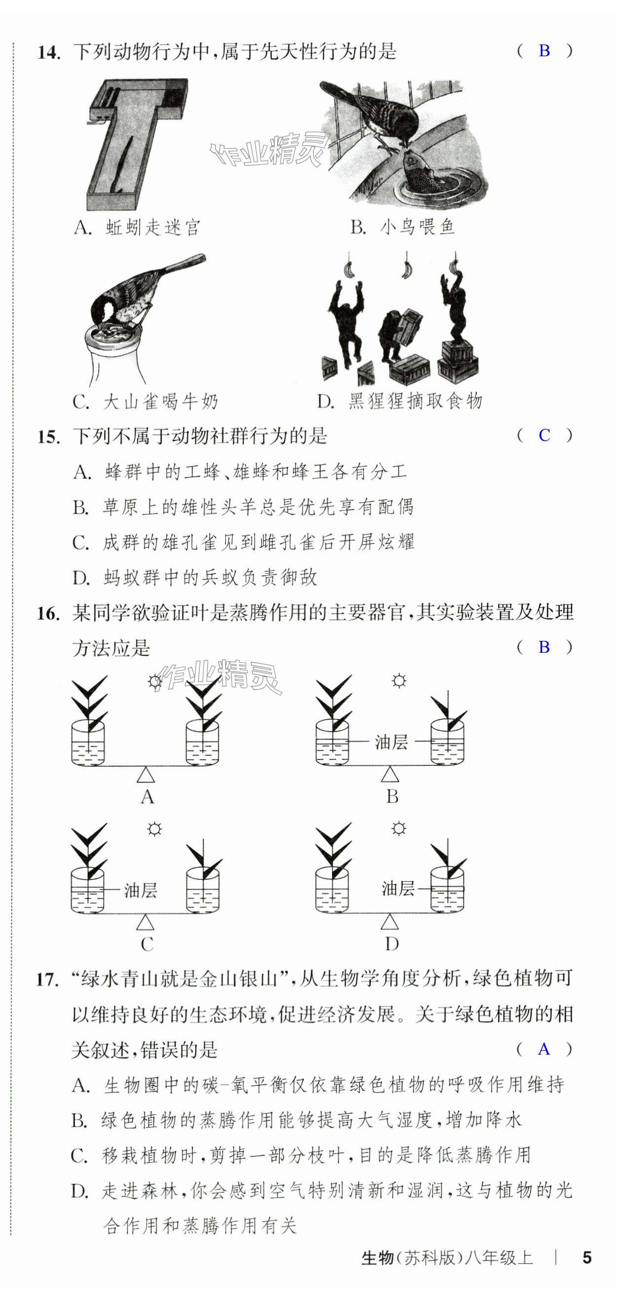 第15頁