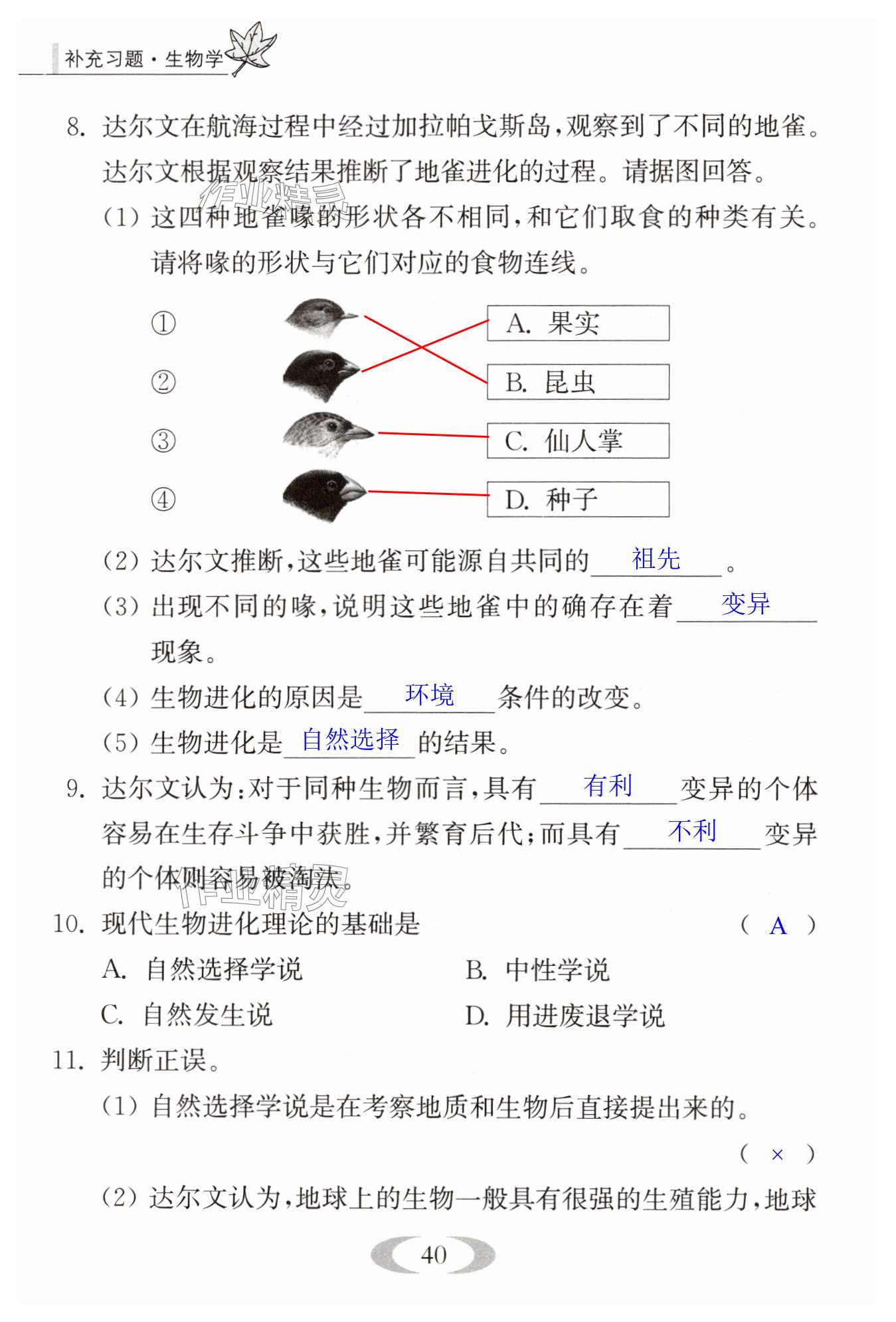 第40頁(yè)