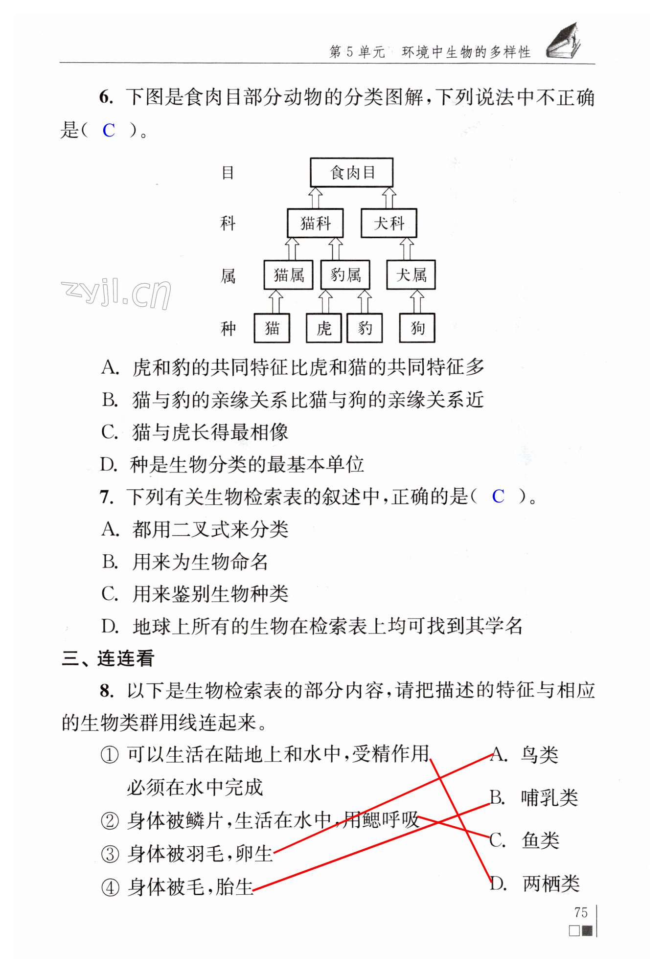 第75页