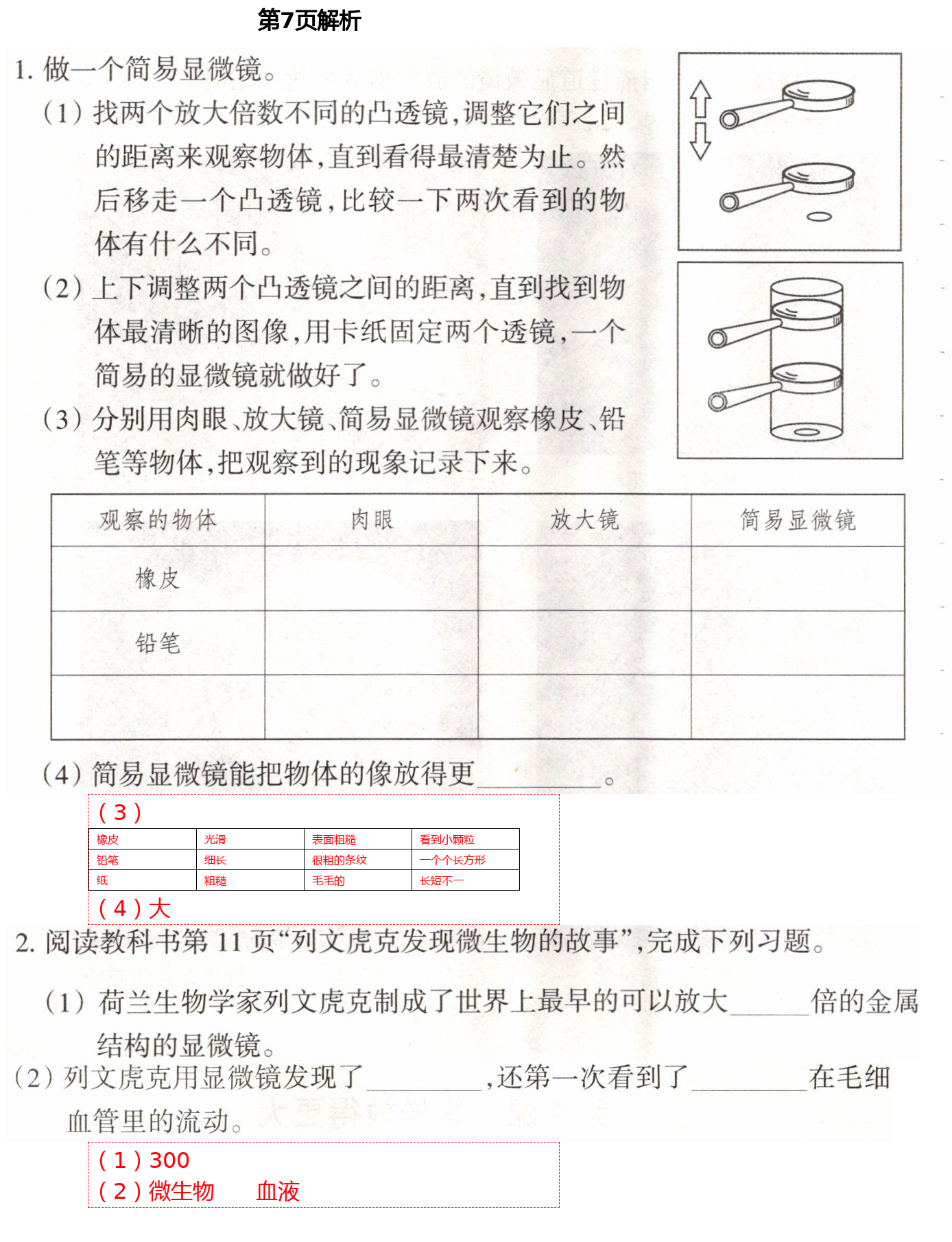 2021年導(dǎo)學(xué)新作業(yè)六年級(jí)科學(xué)下冊(cè)教科版 第7頁(yè)