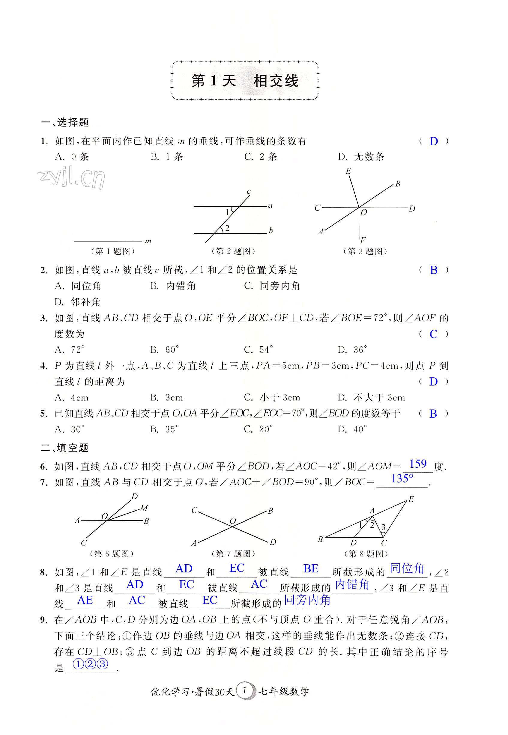 2022年優(yōu)化學習暑假30天七年級數(shù)學河海大學出版社 第1頁