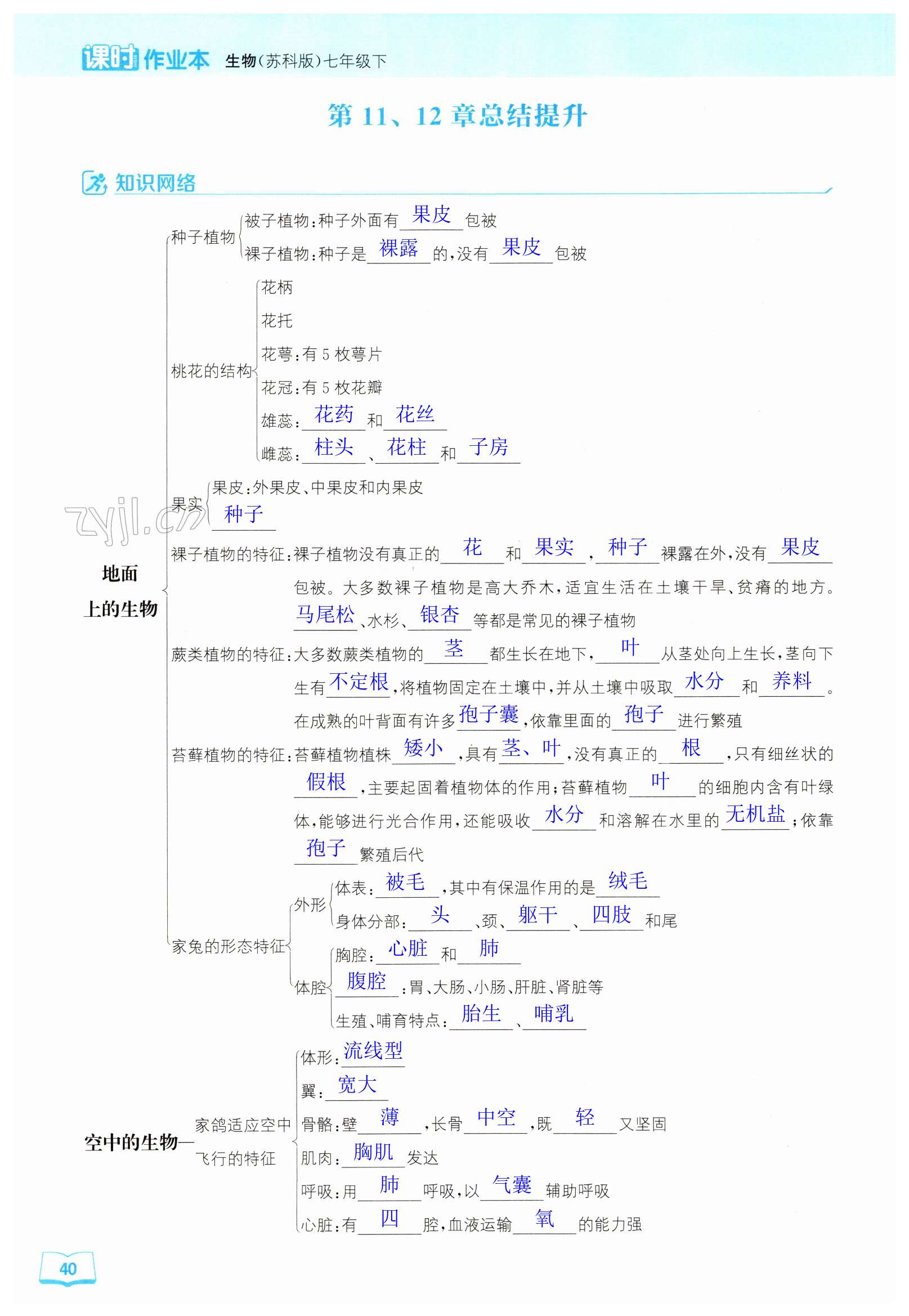 第40頁(yè)