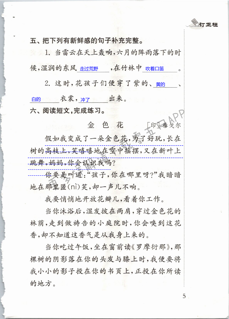 第5页