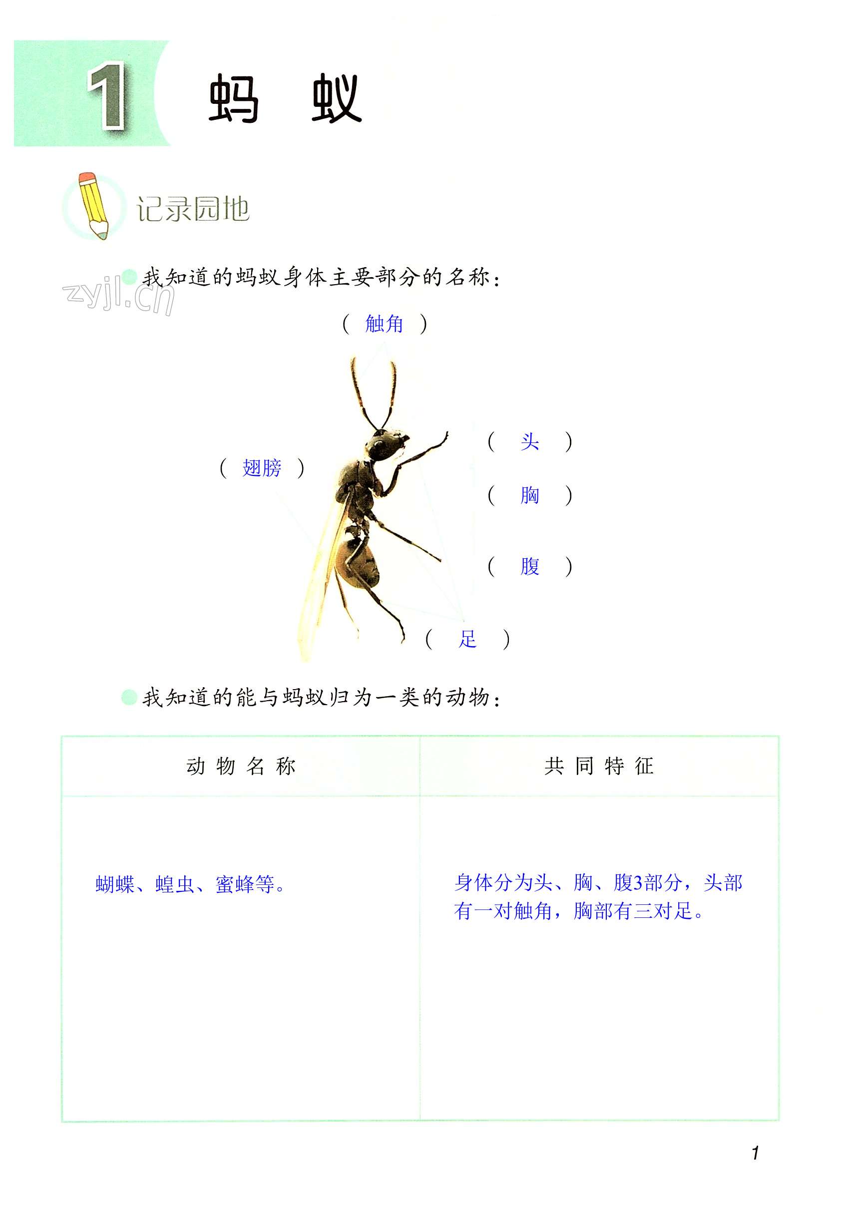 2022年学生活动手册四年级科学上册青岛版 第1页