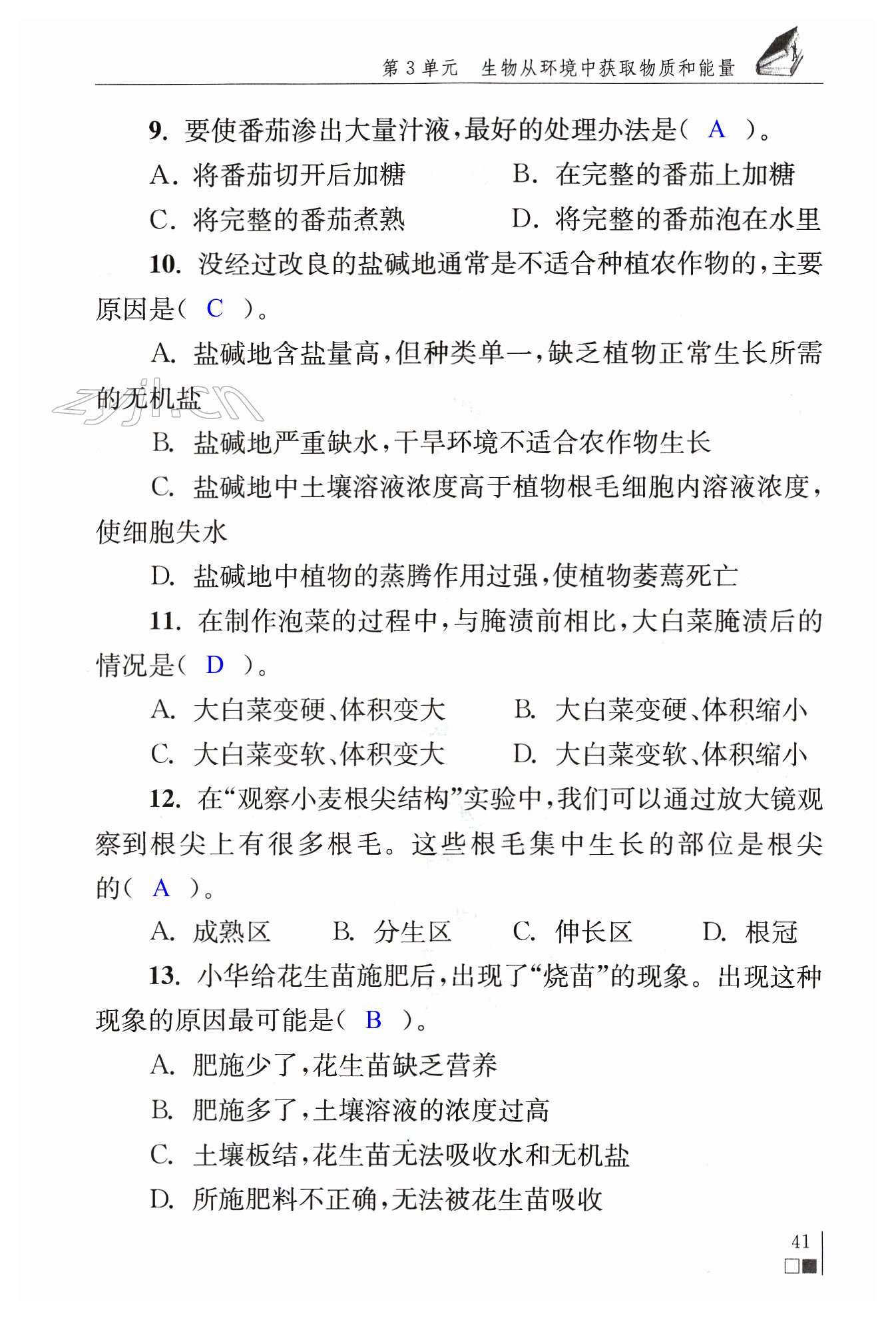 第41页