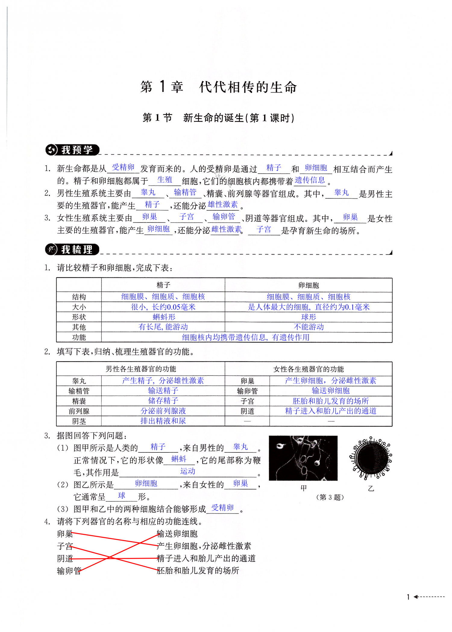 2022年导学新作业七年级科学下册浙教版 第1页