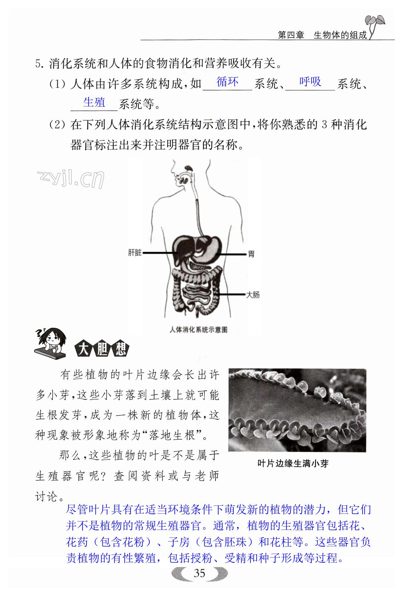 第35頁