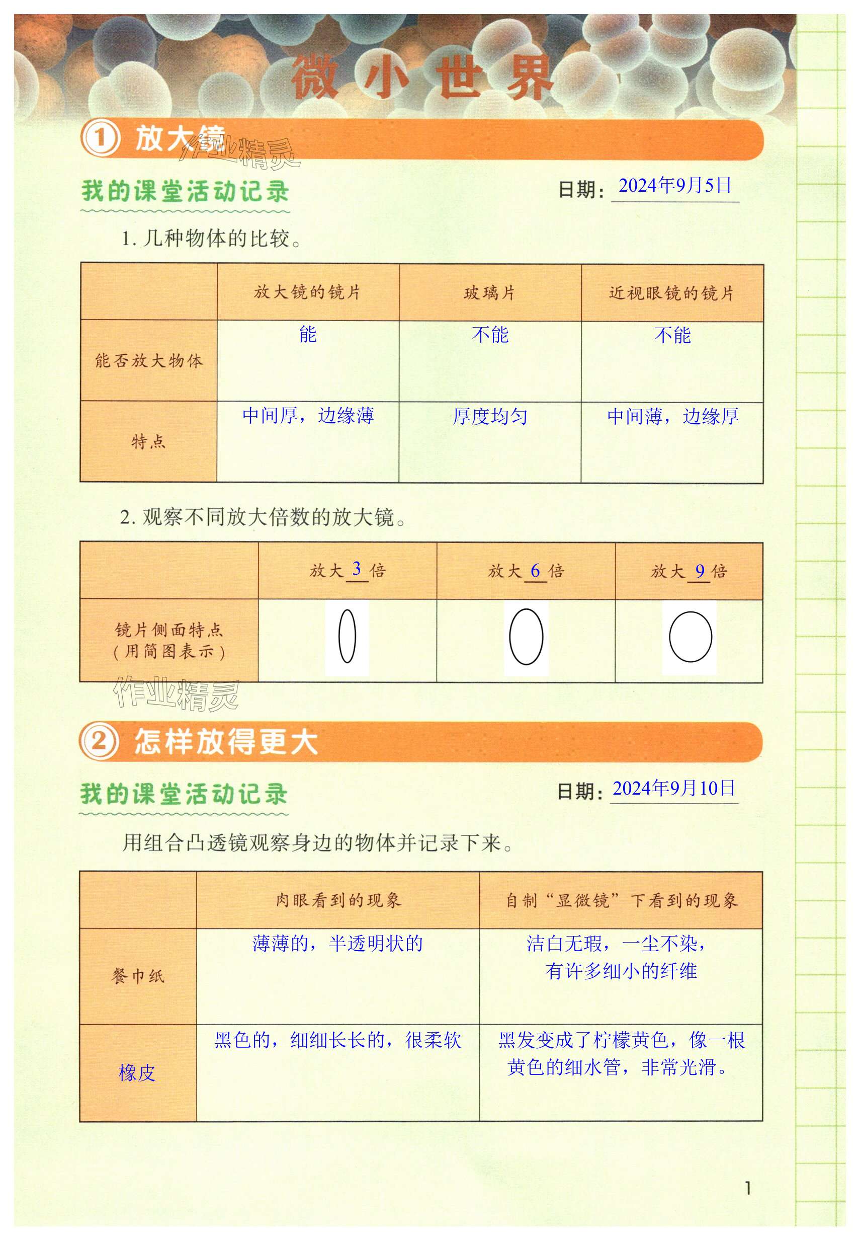 2024年学生活动手册六年级科学上册教科版 第1页