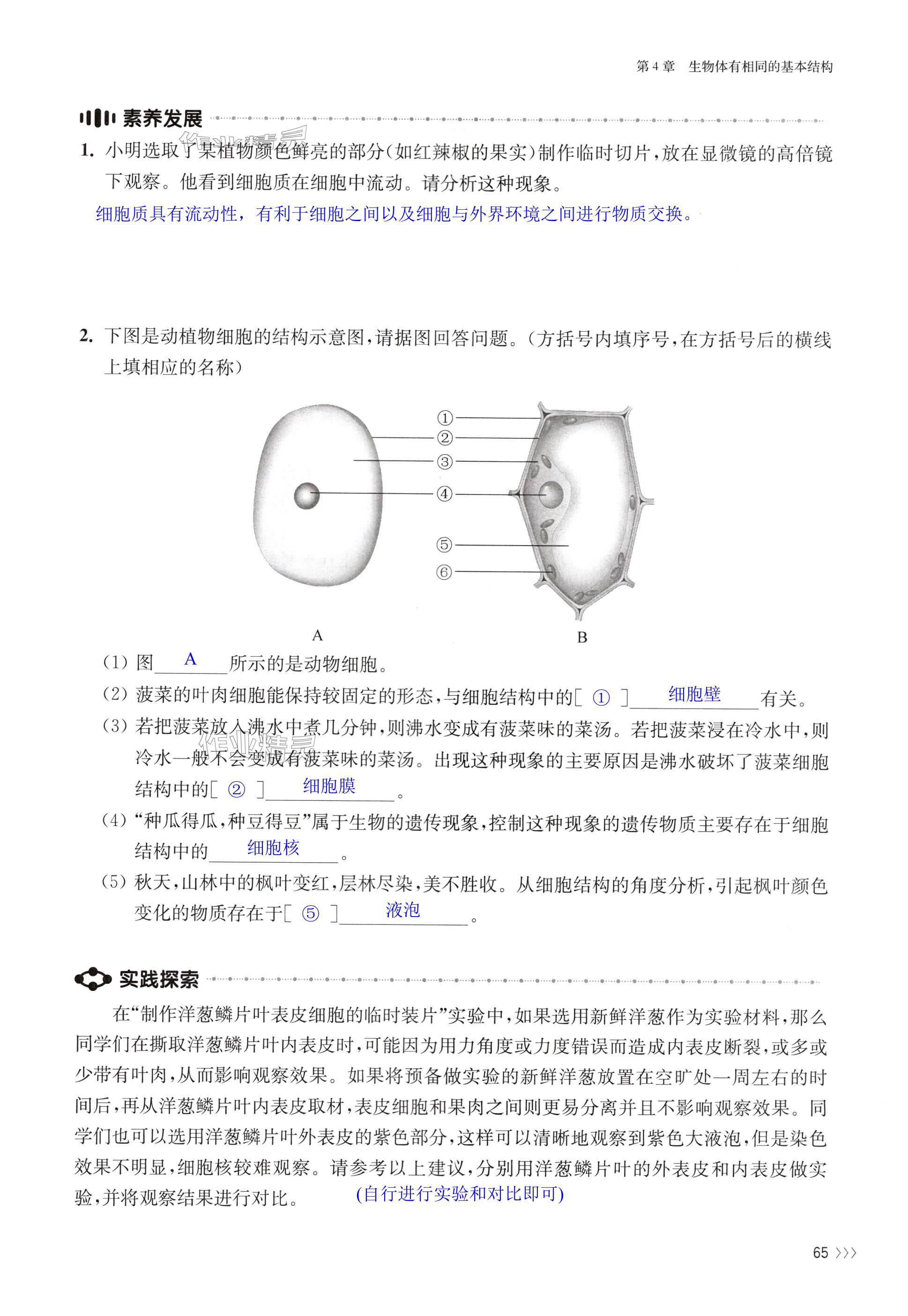 第65頁