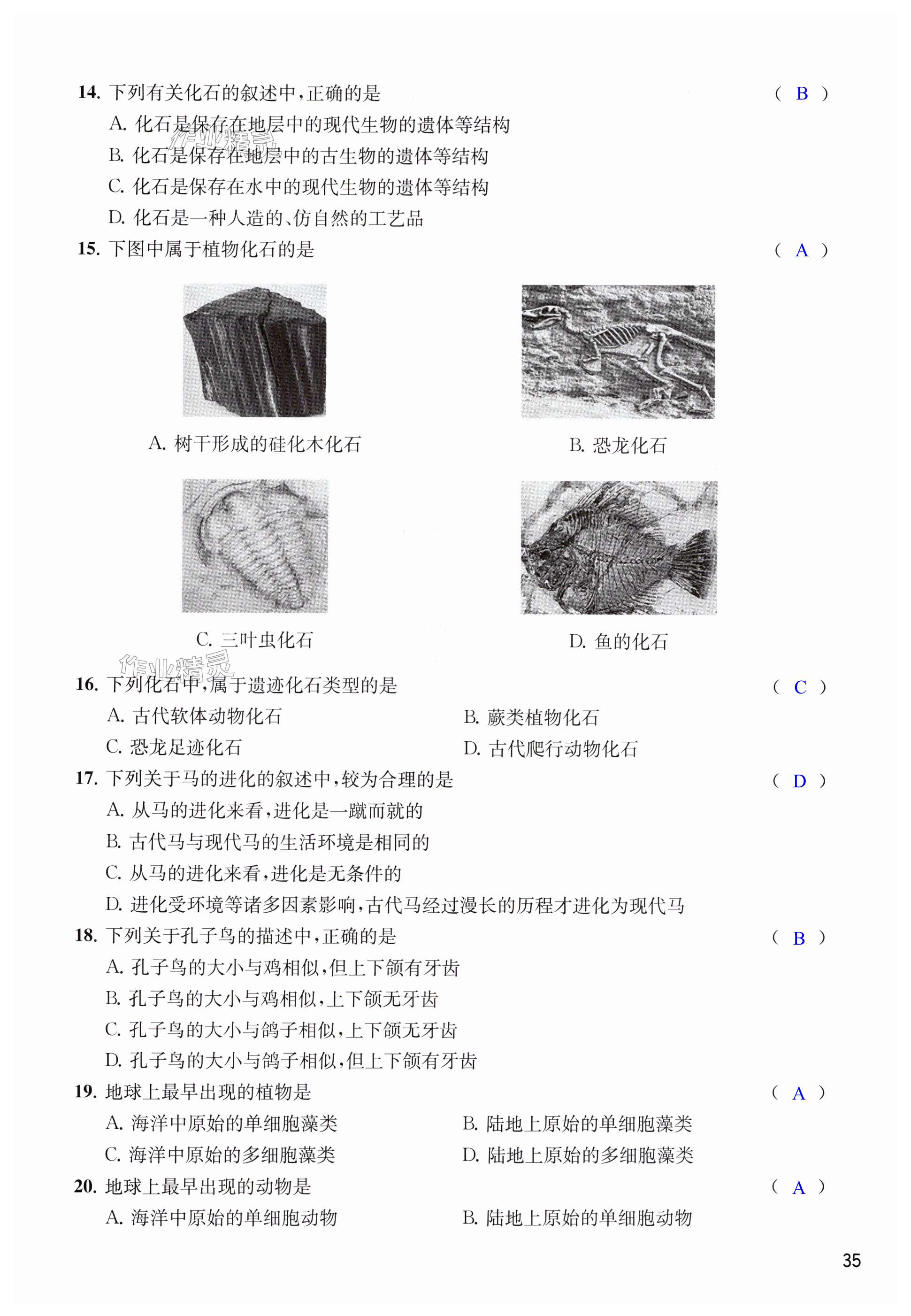 第35页