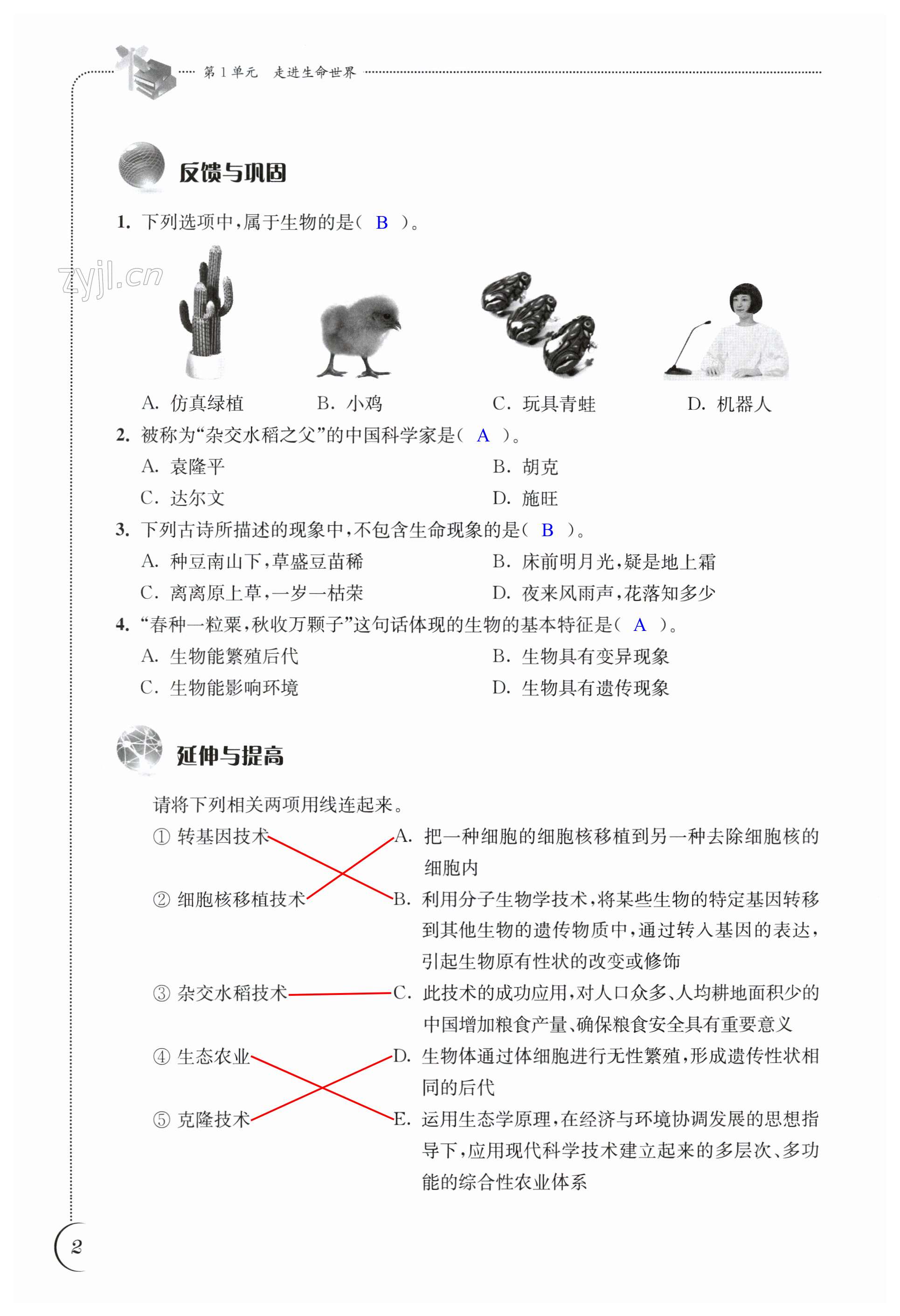 第2頁(yè)