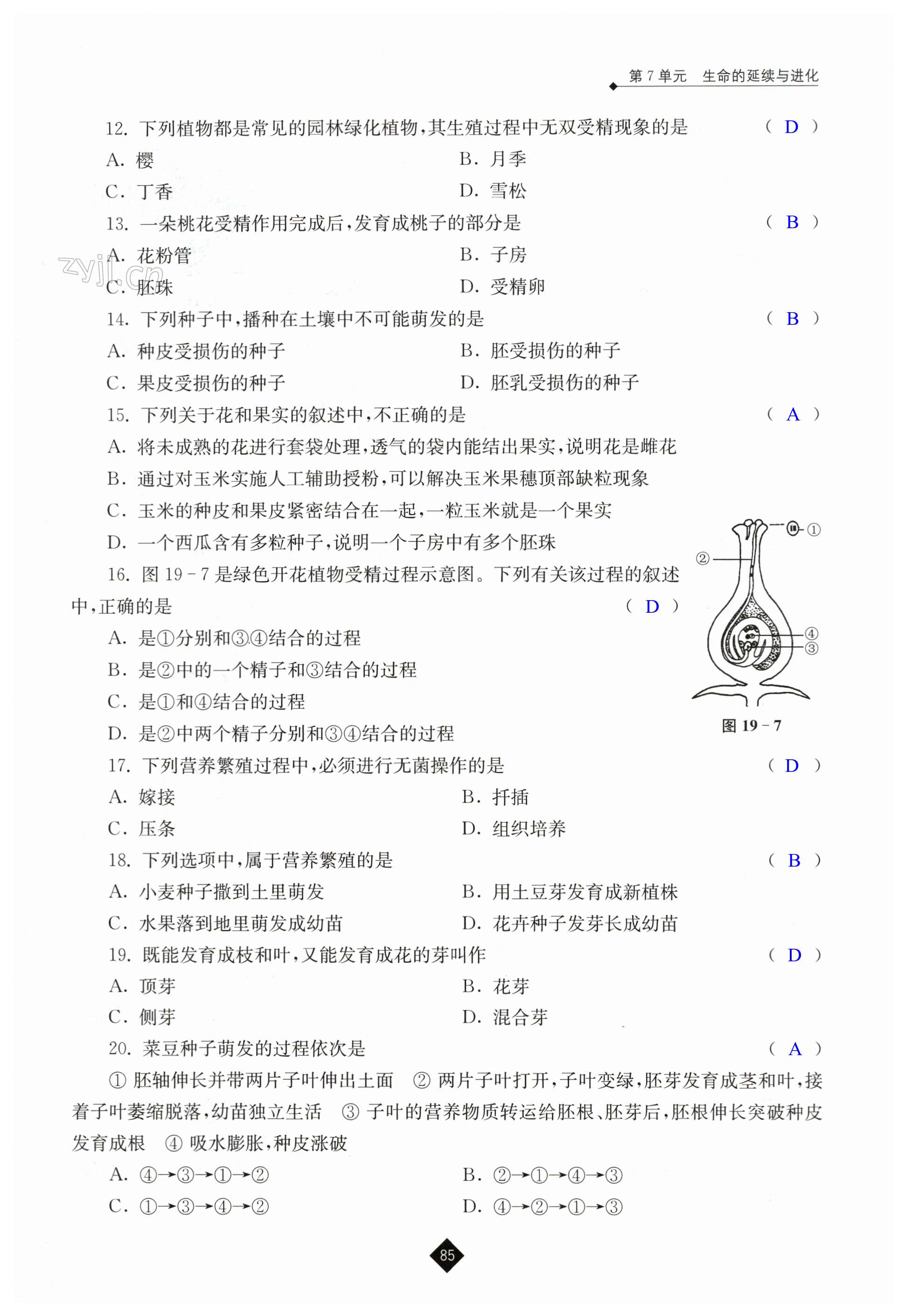 第85页