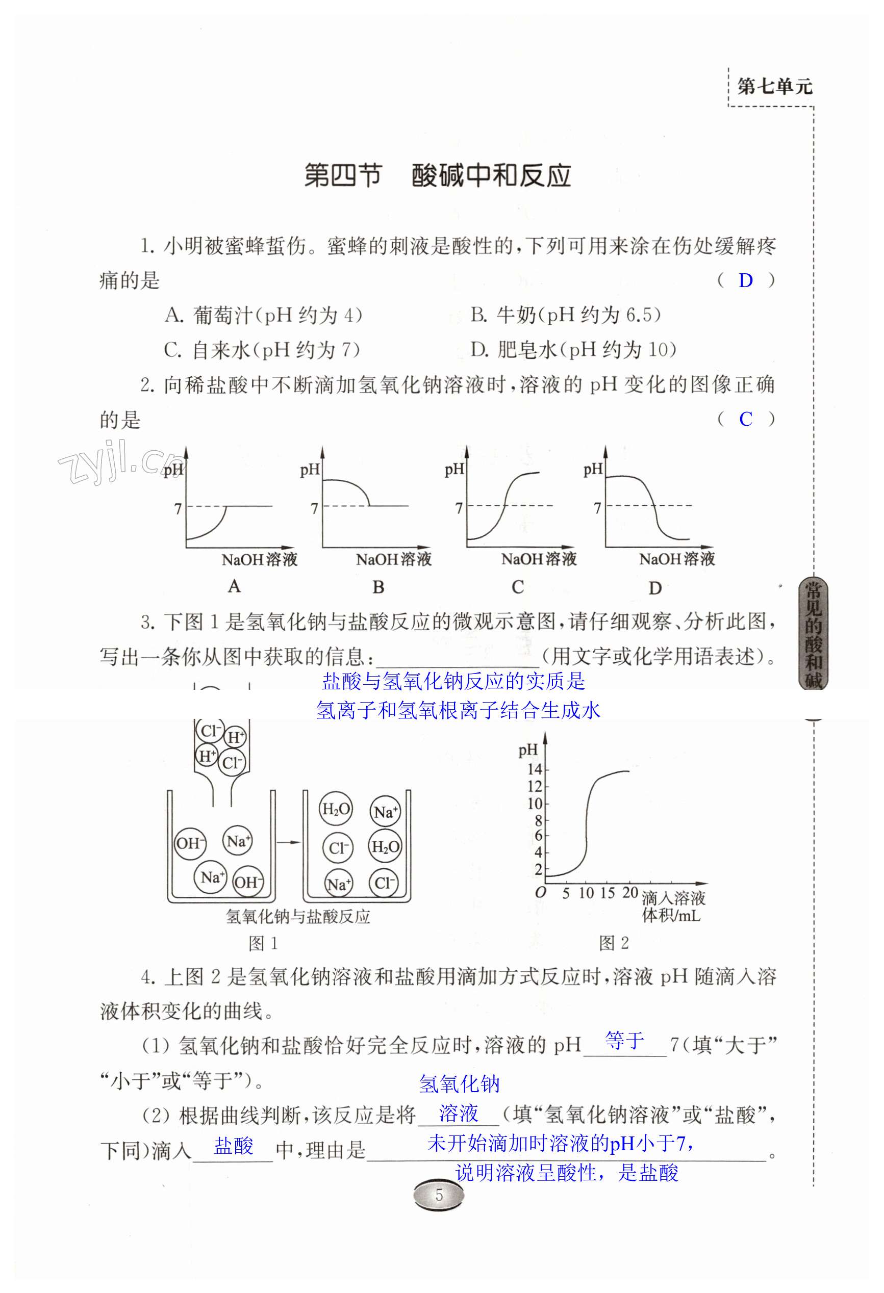 第5頁