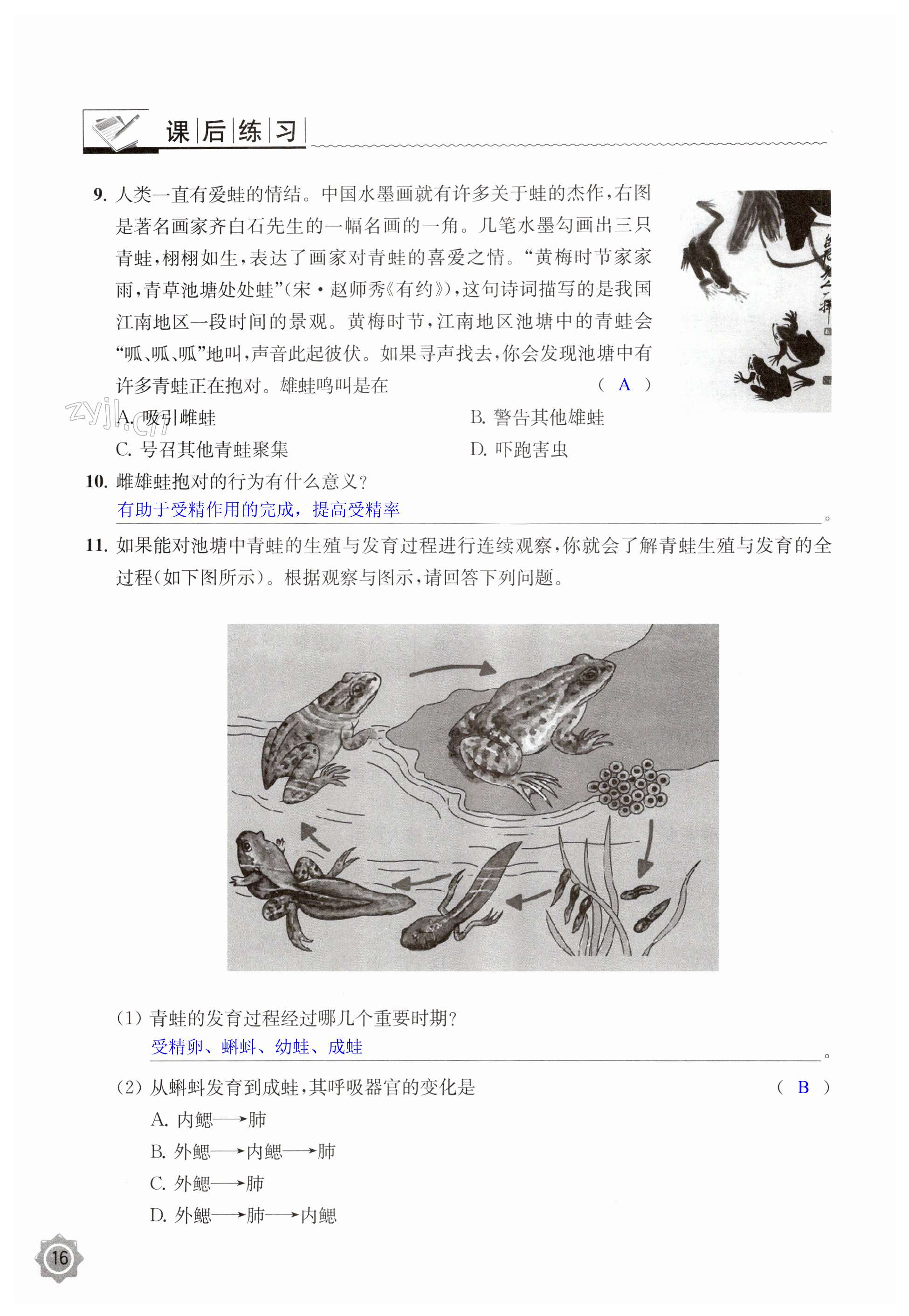第16页