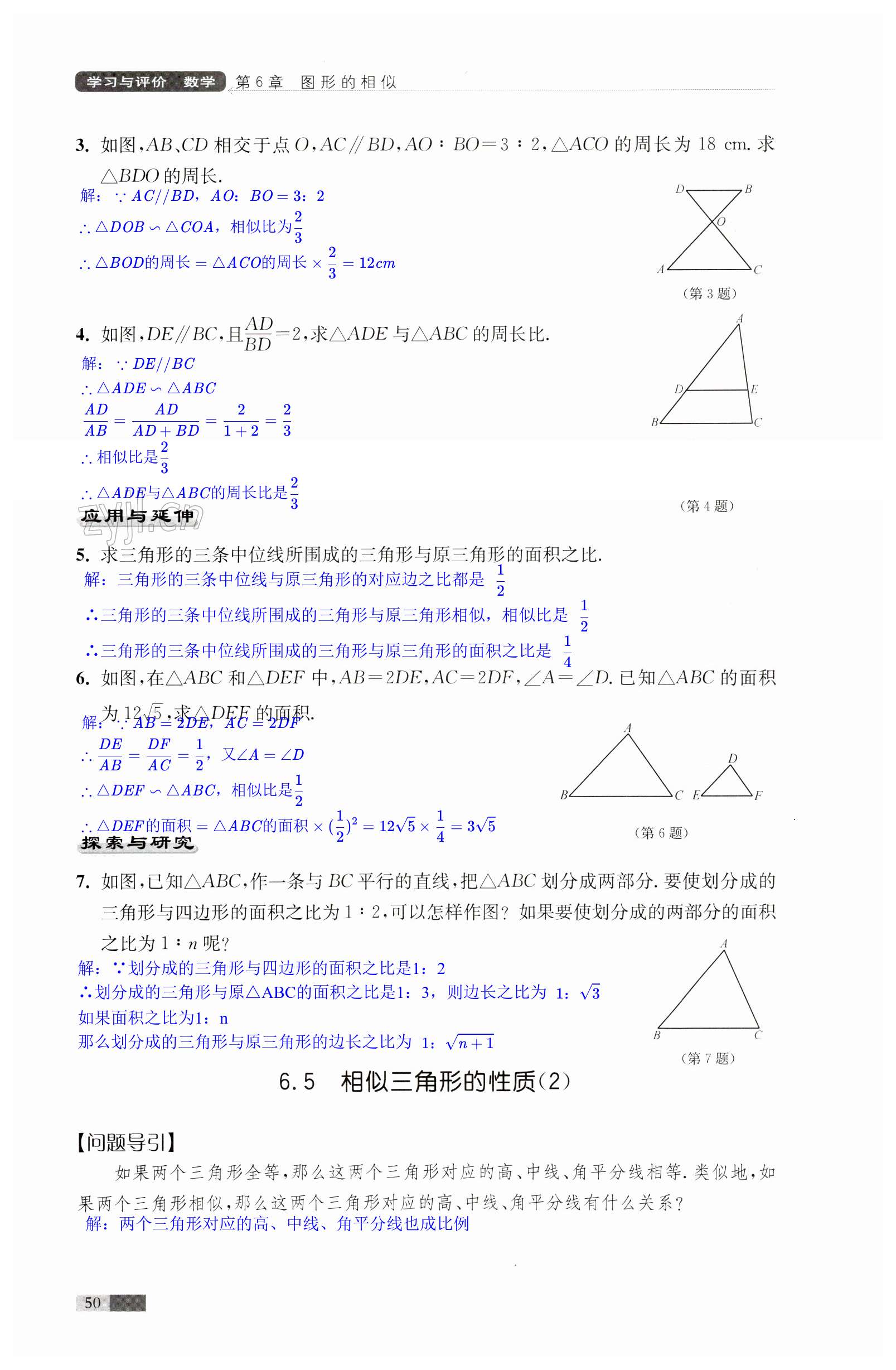 第50頁