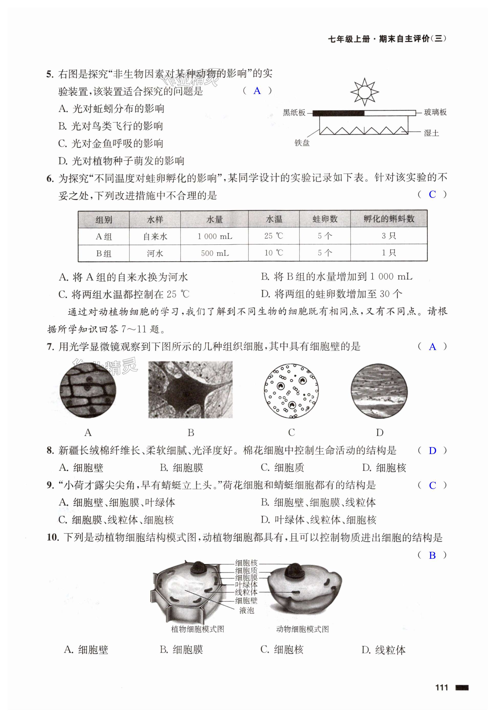 第111頁