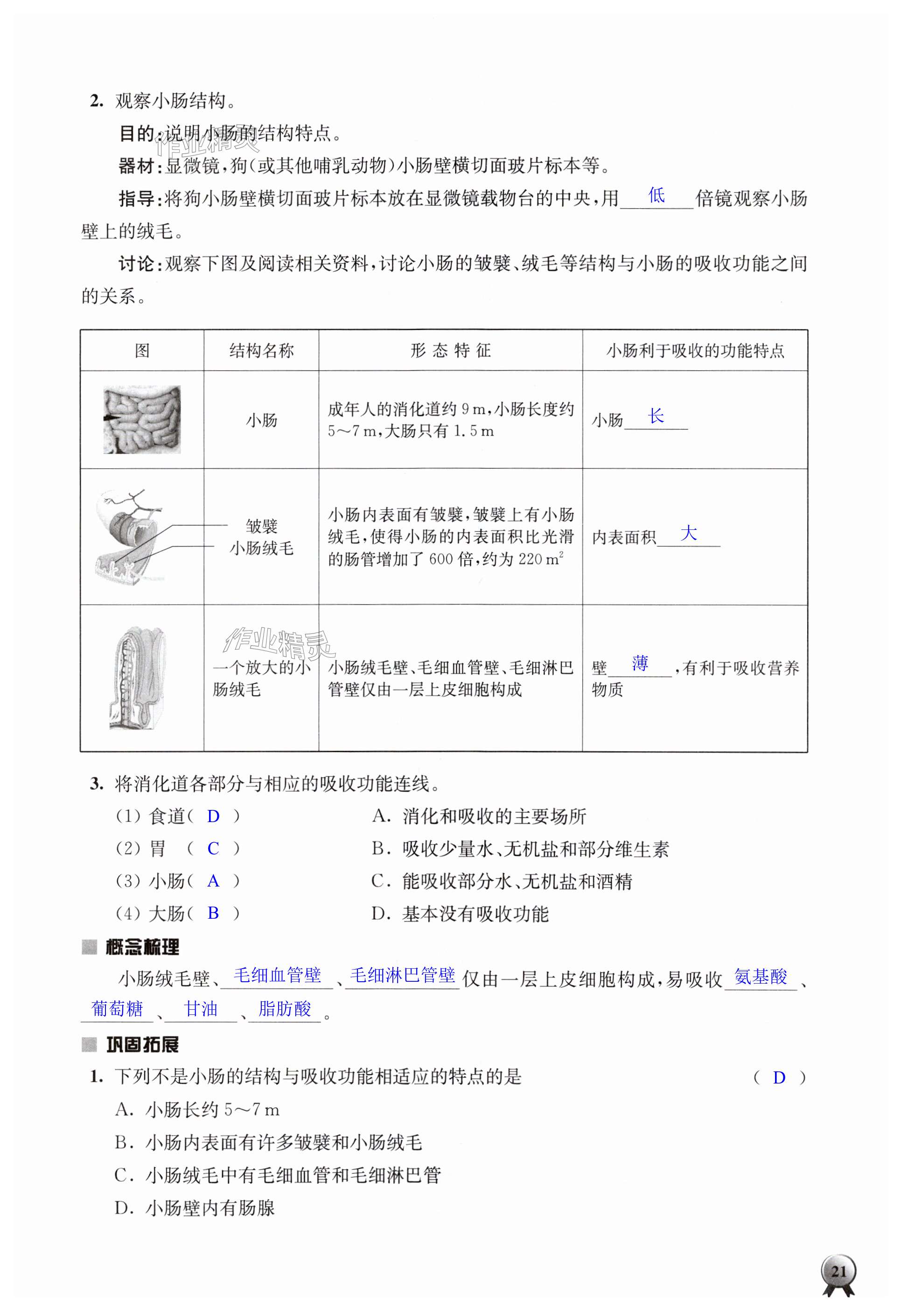 第21頁(yè)