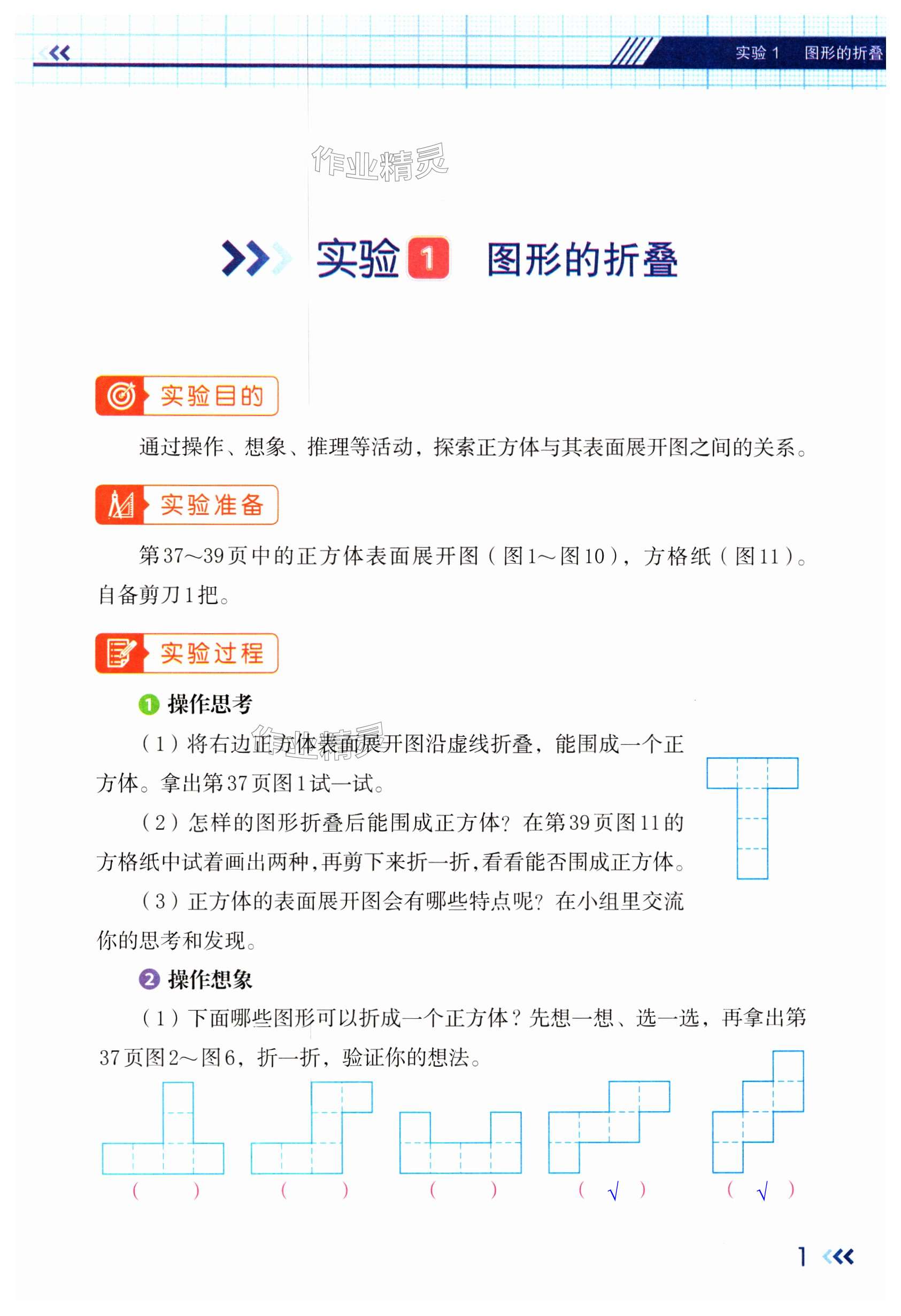 2025年实验手册六年级数学上册苏教版 第1页