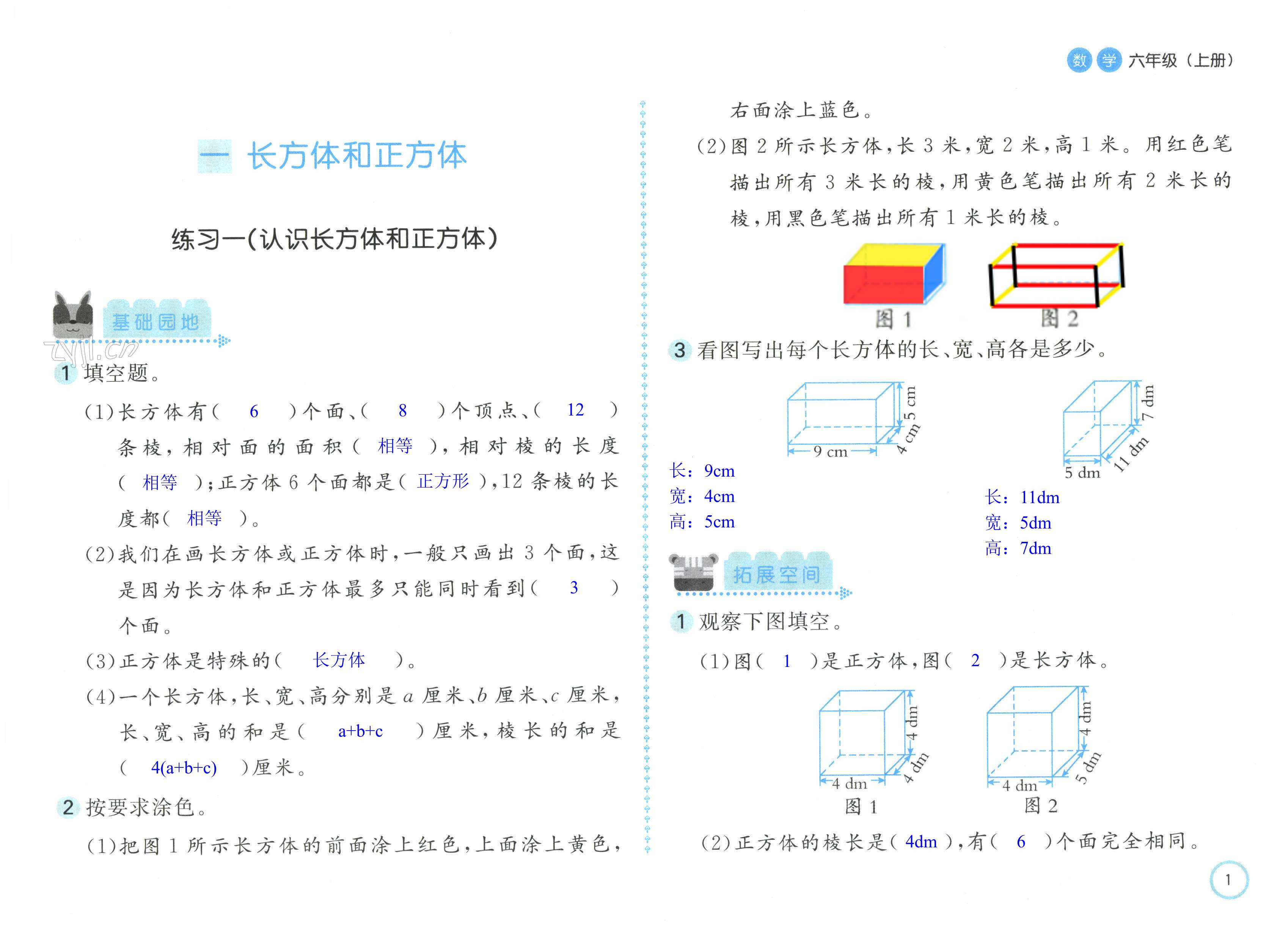 2022年新編基礎(chǔ)訓(xùn)練六年級數(shù)學(xué)上冊蘇教版 第1頁