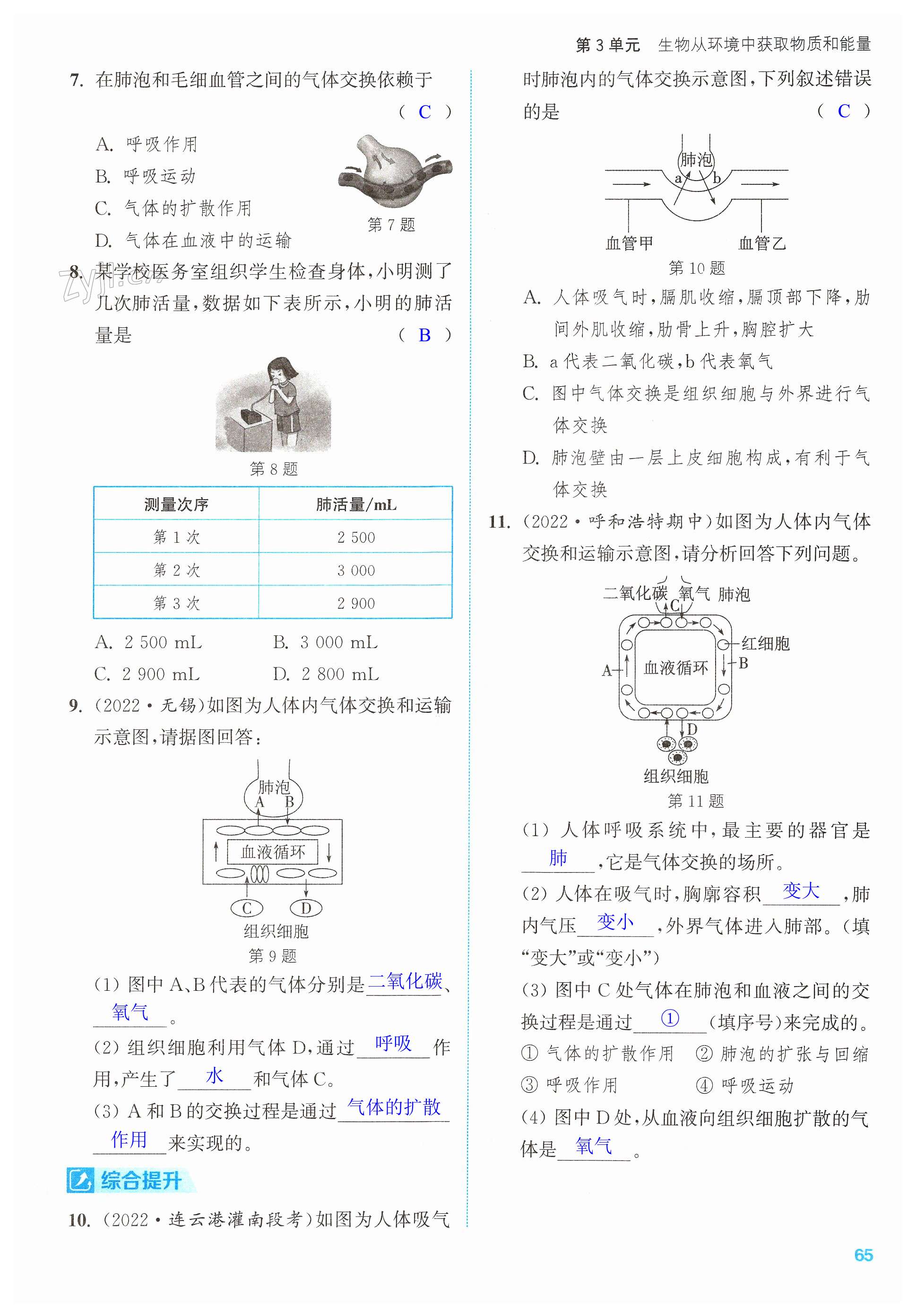 第65頁