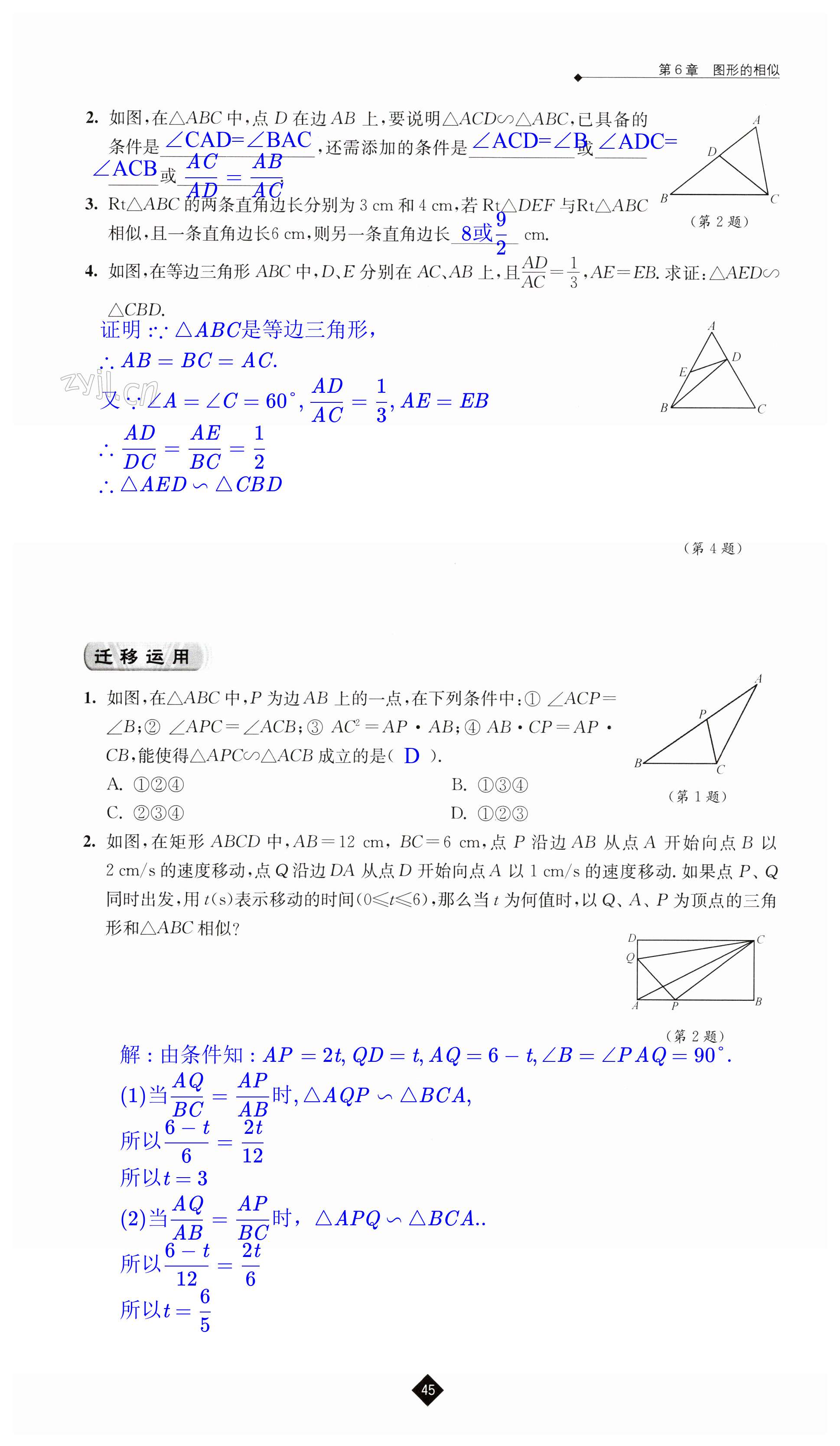 第45頁