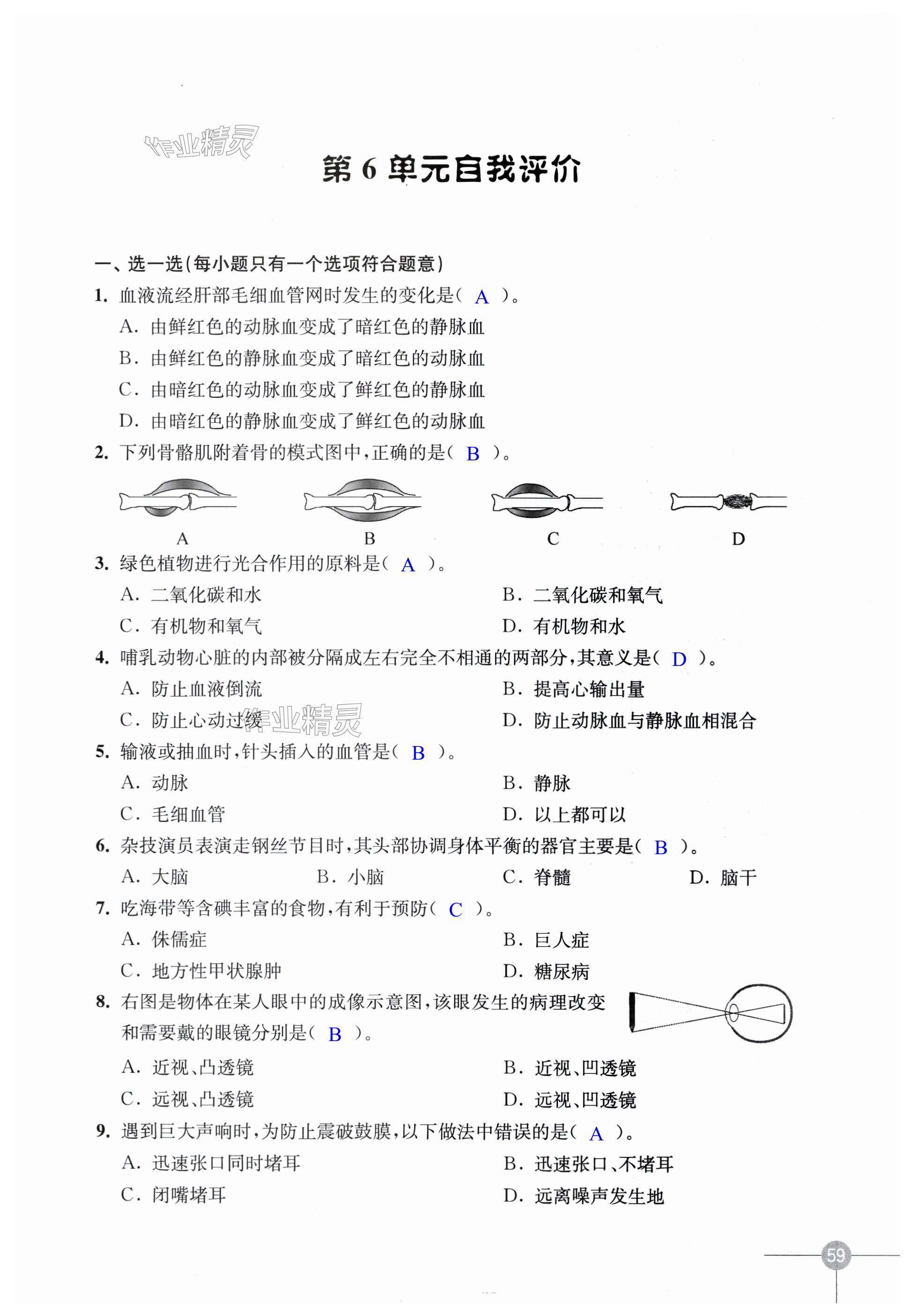 第59頁