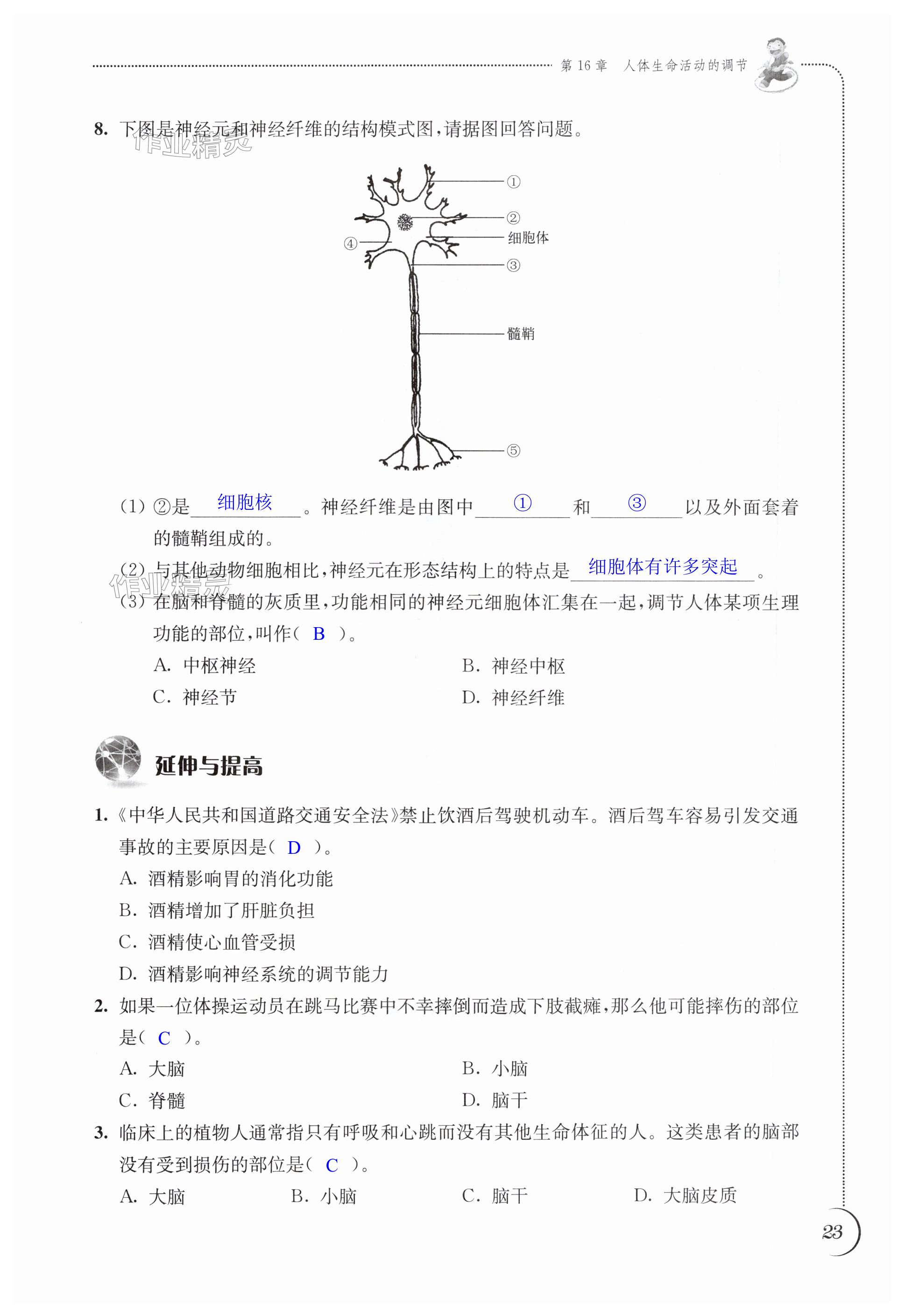 第23頁