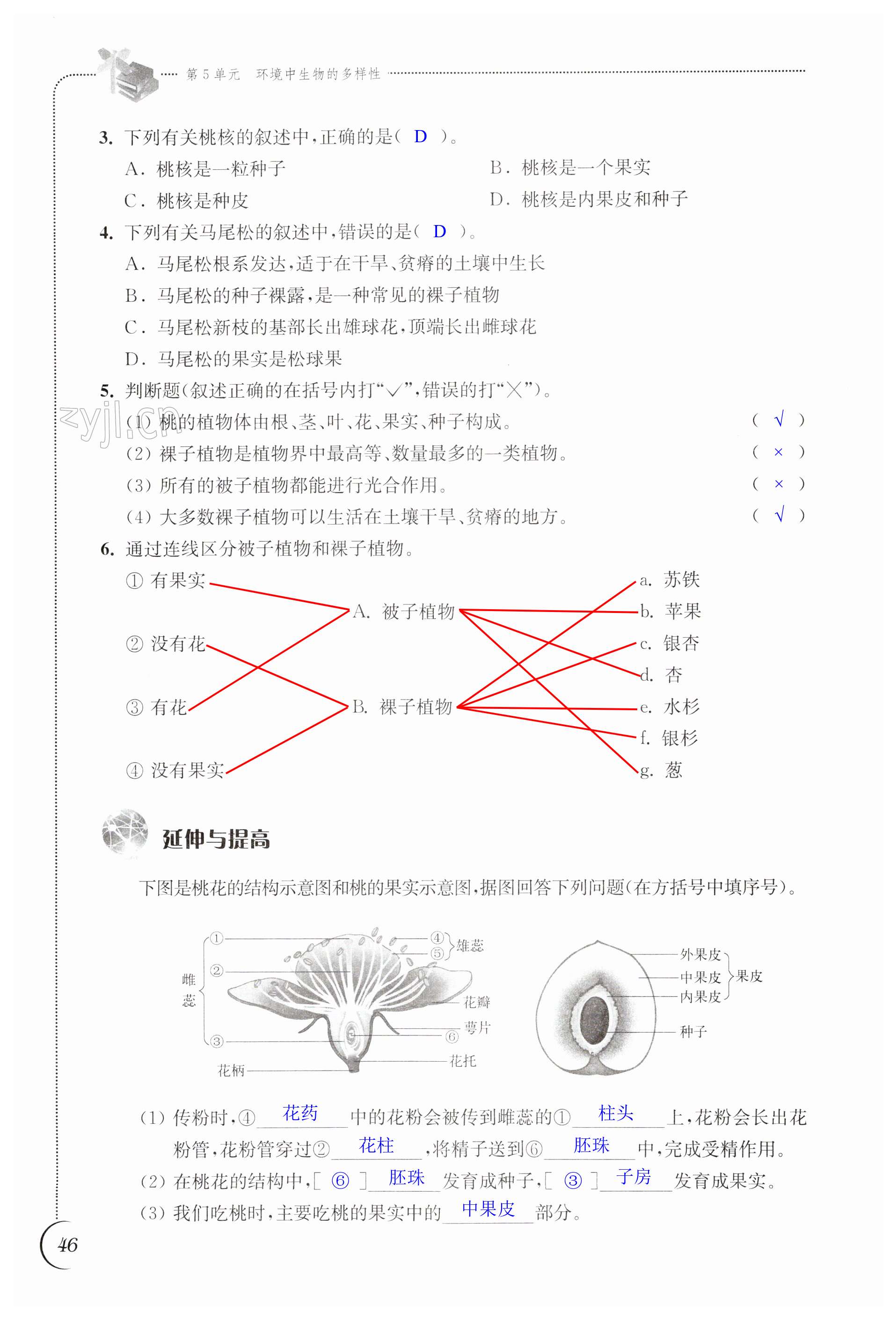 第46頁