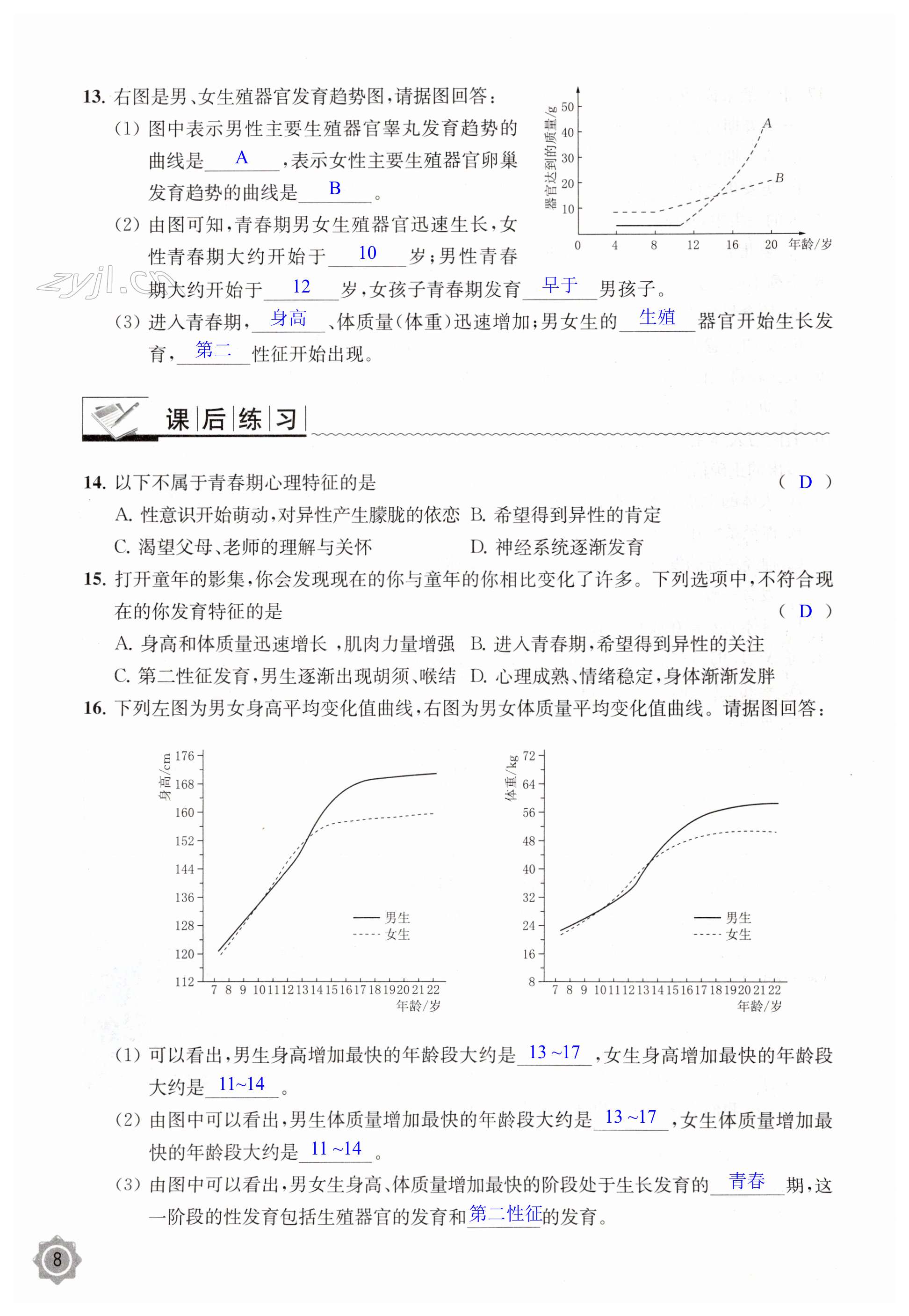 第8页