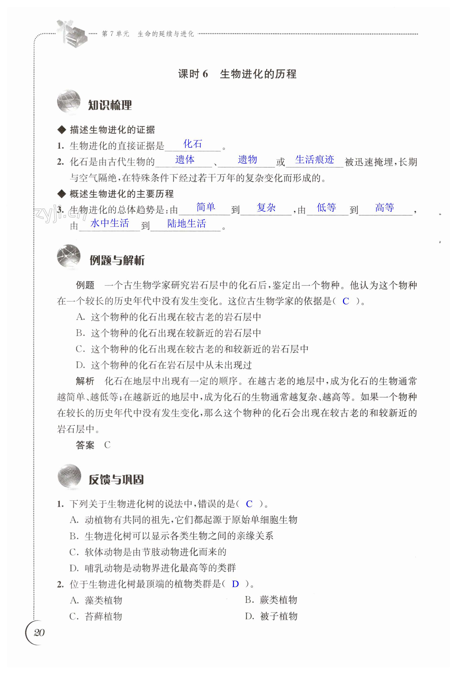 第20页