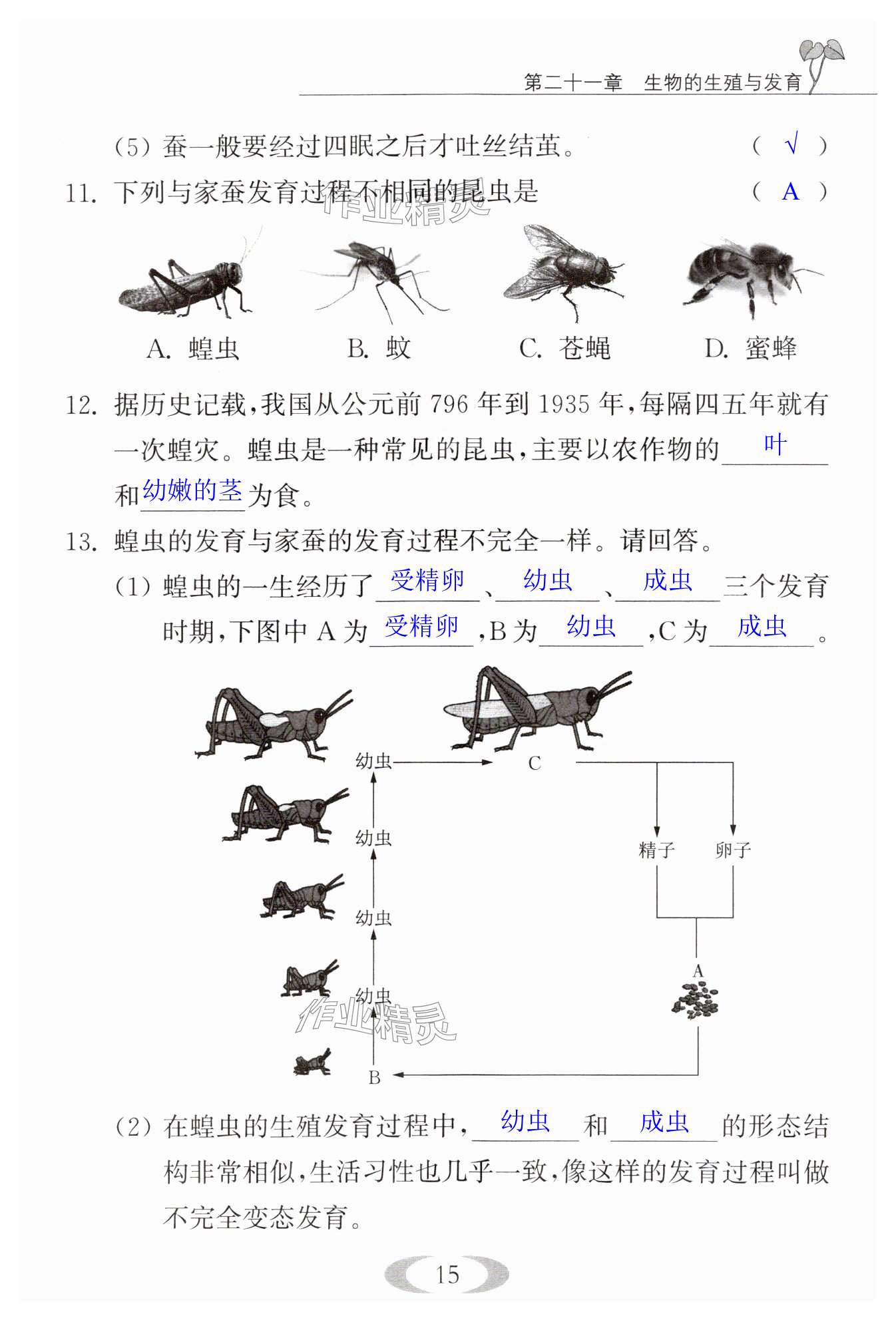 第15頁