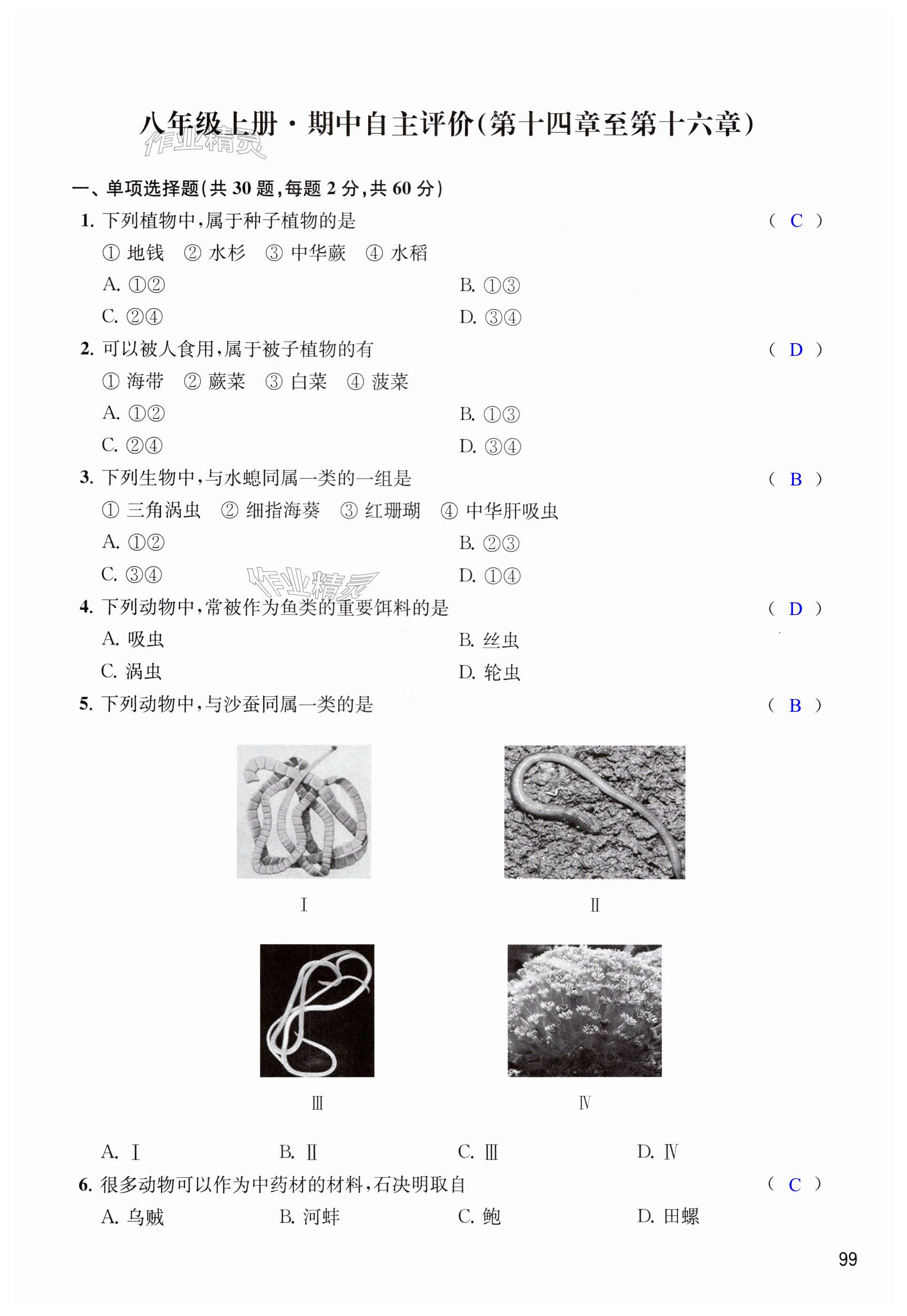 第99页