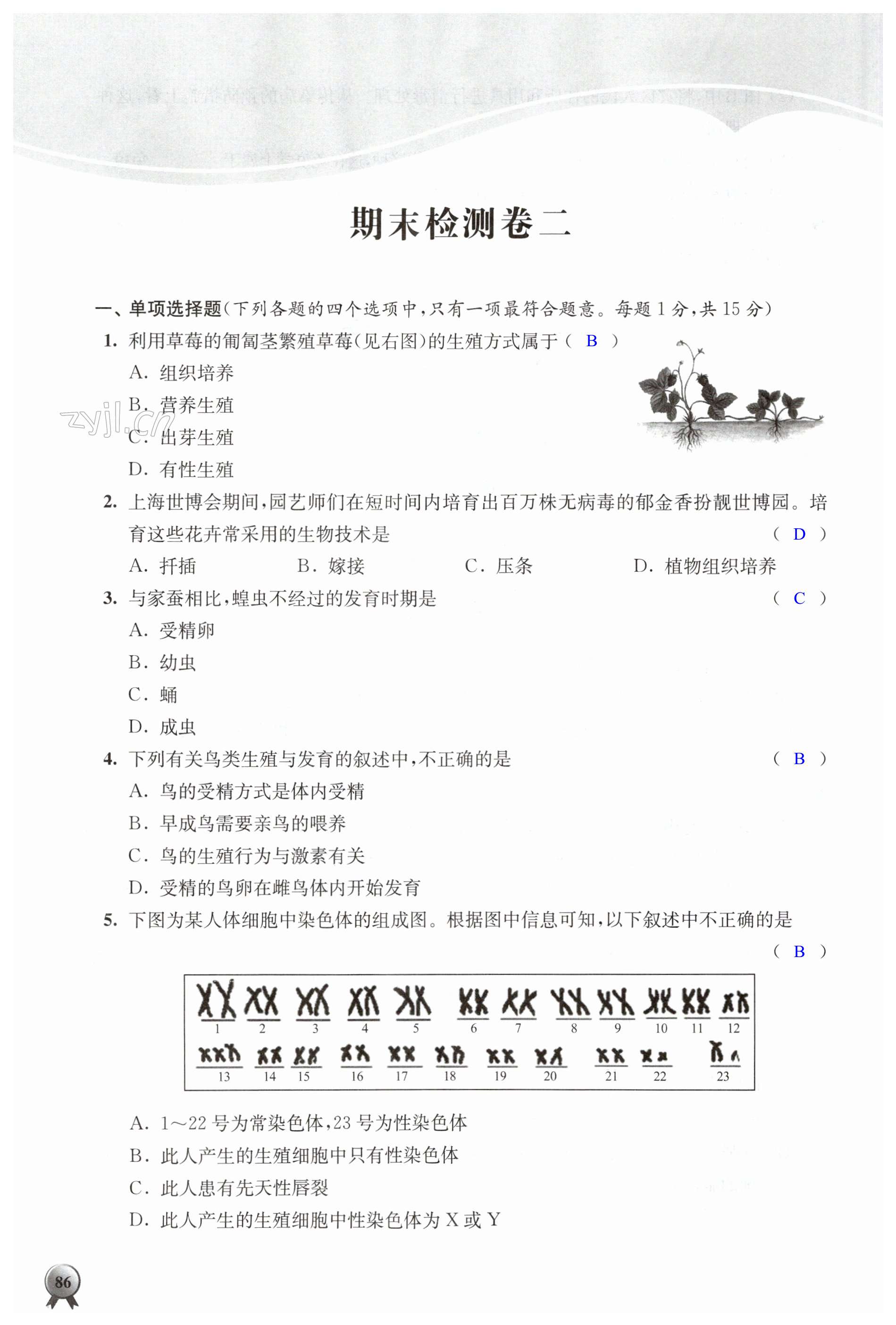 第86页