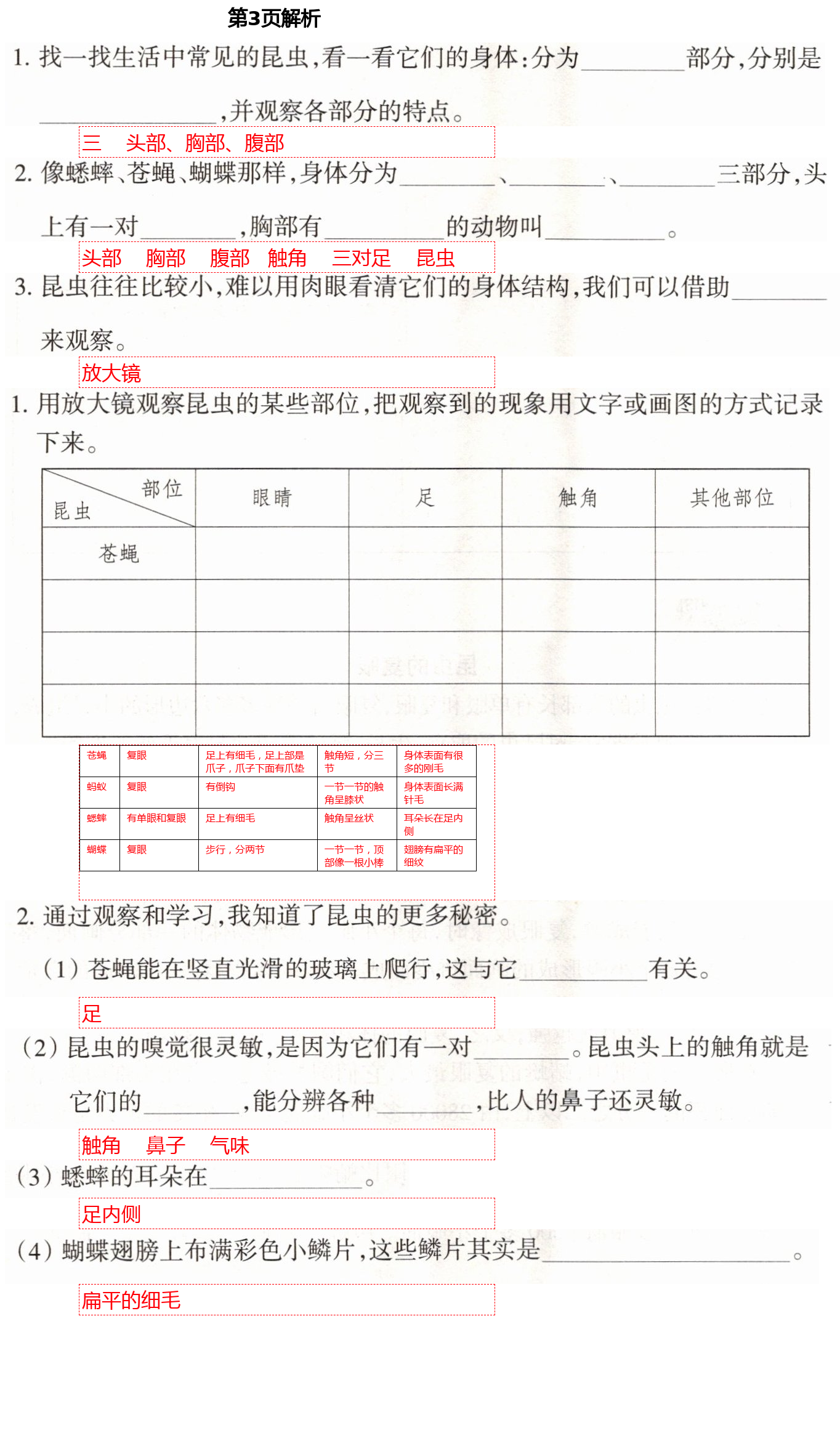 2021年導(dǎo)學(xué)新作業(yè)六年級(jí)科學(xué)下冊(cè)教科版 第3頁(yè)