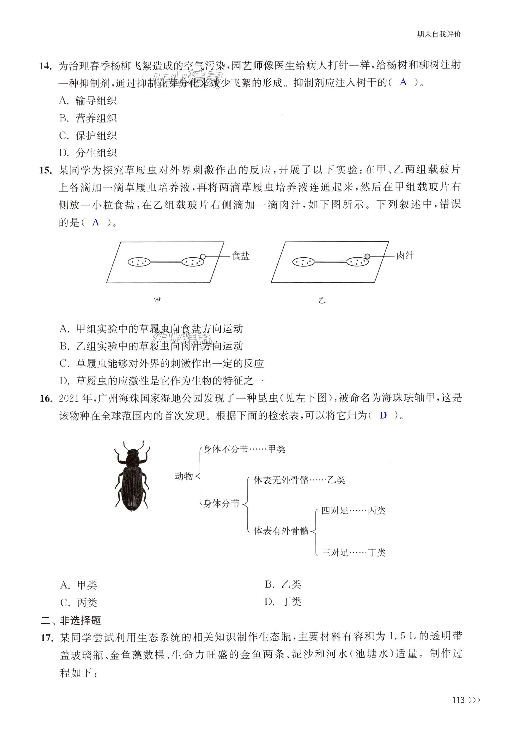 第113頁