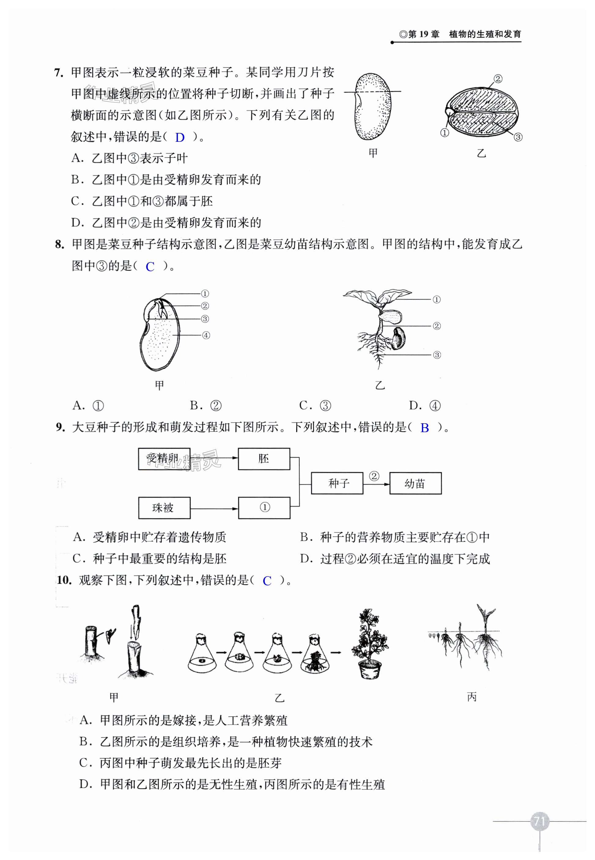 第71頁