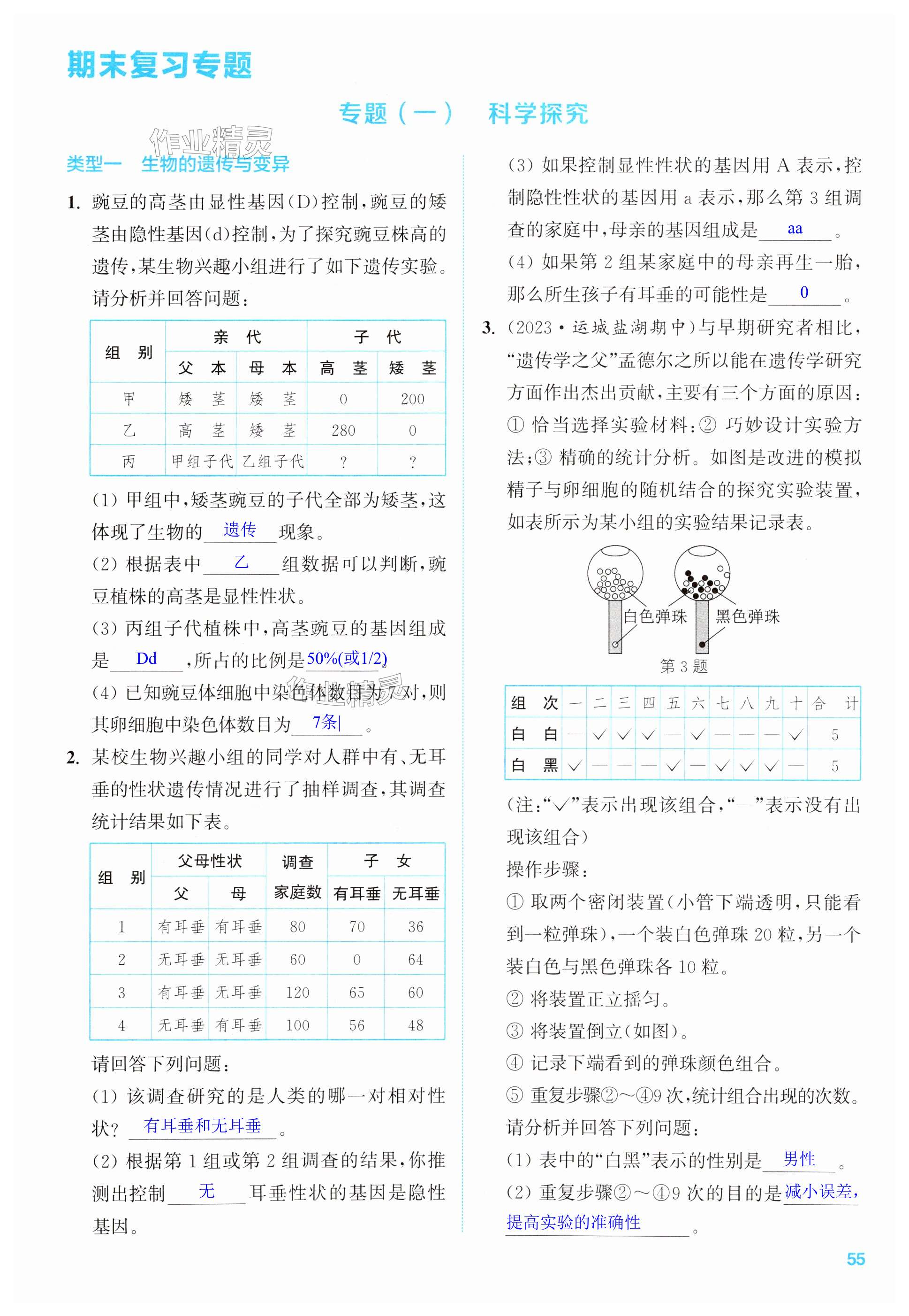 第55頁