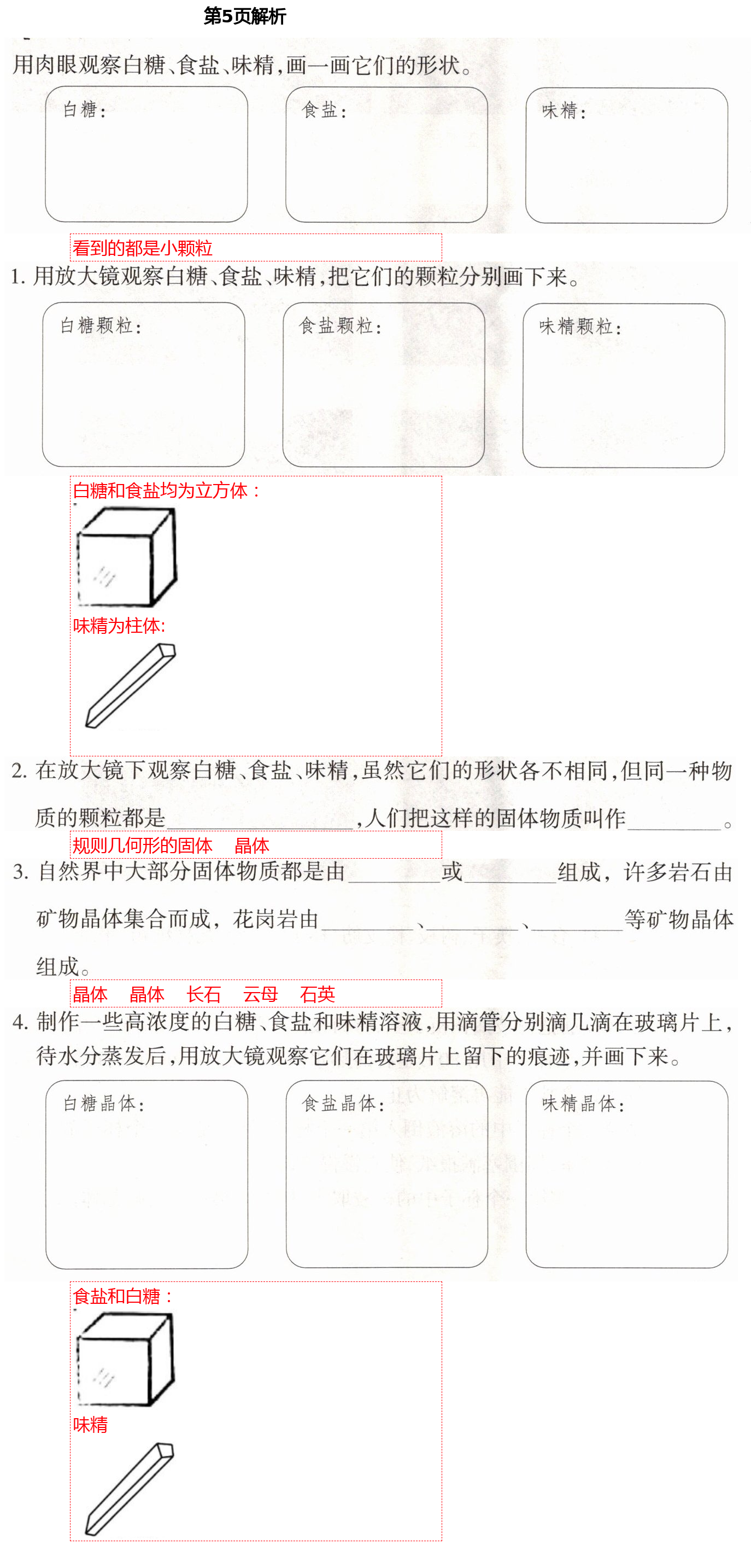 2021年導(dǎo)學(xué)新作業(yè)六年級科學(xué)下冊教科版 第5頁